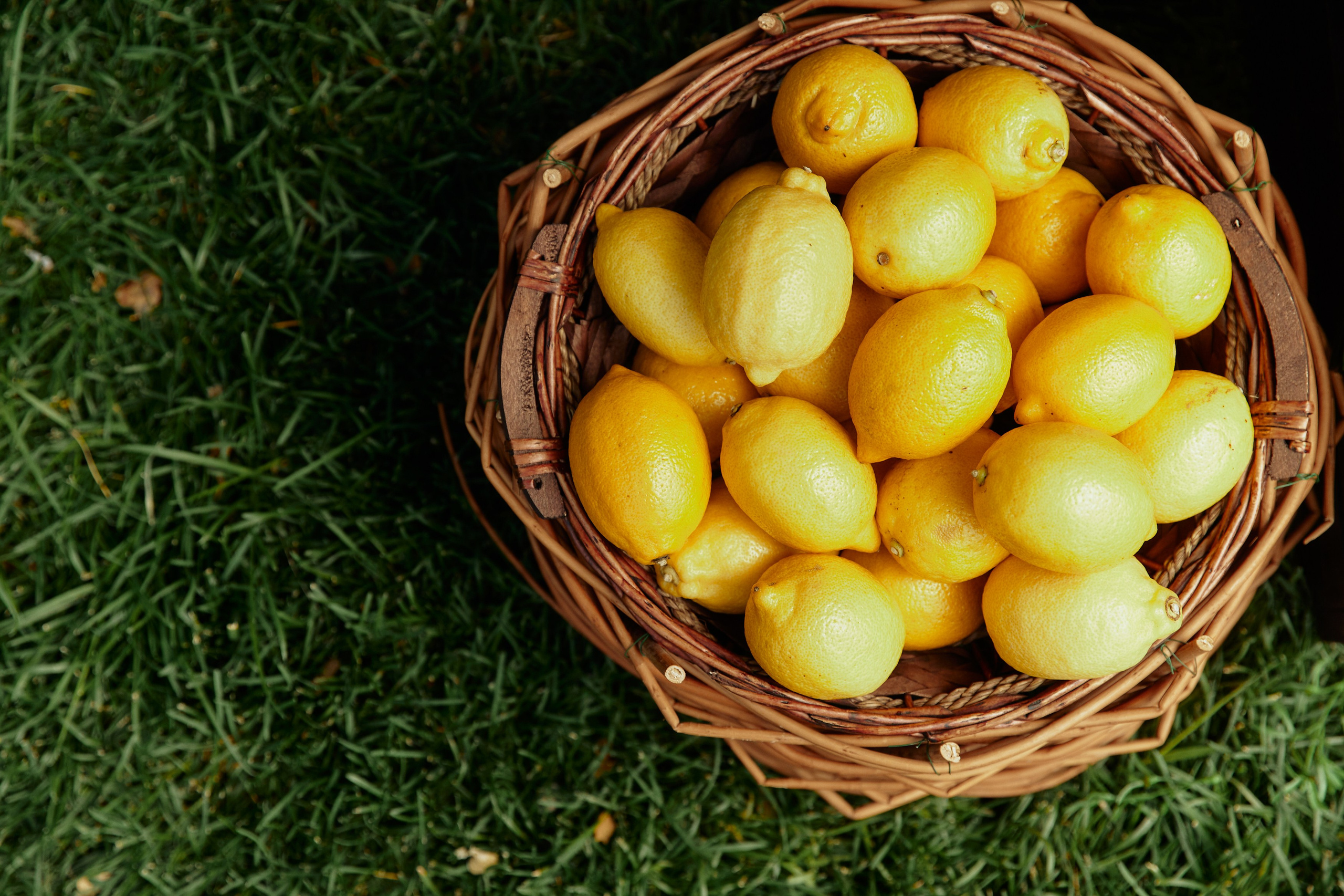 BG. Дмитрий Мазуркевич: Профессиональный Репортажный Фотограф