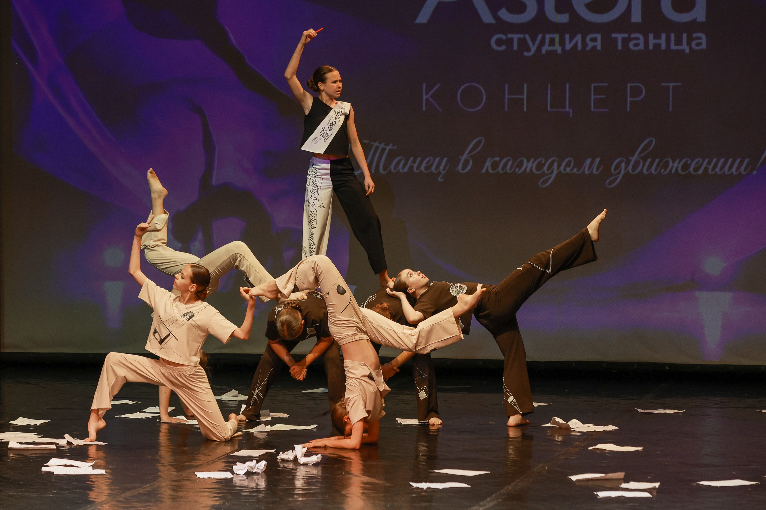 Отчётник Астера. Фотограф Юлия Мальцева
