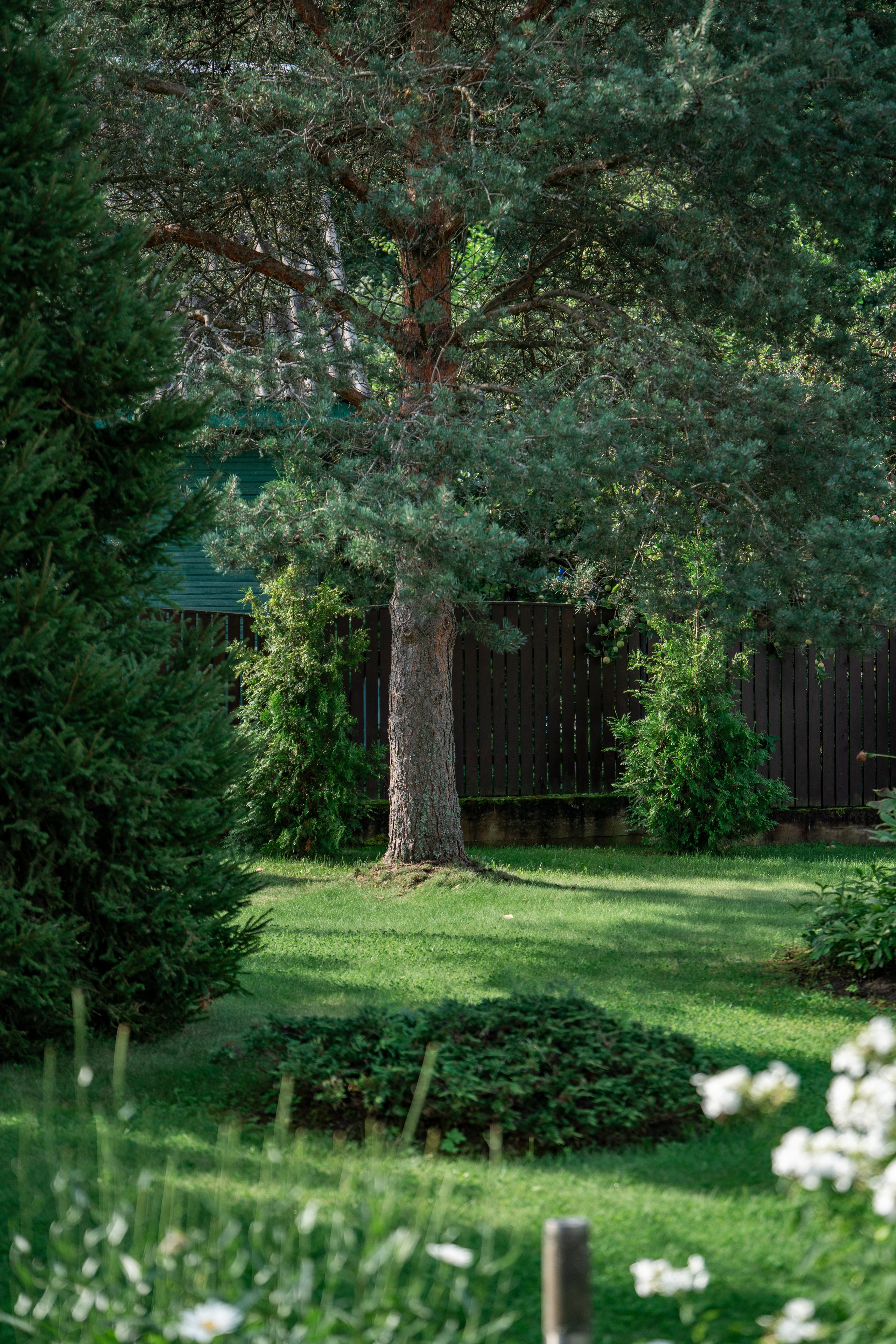 Интерьерная Съемка. Услуги фотографа СПб. Фотограф видеограф Игорь Рисар