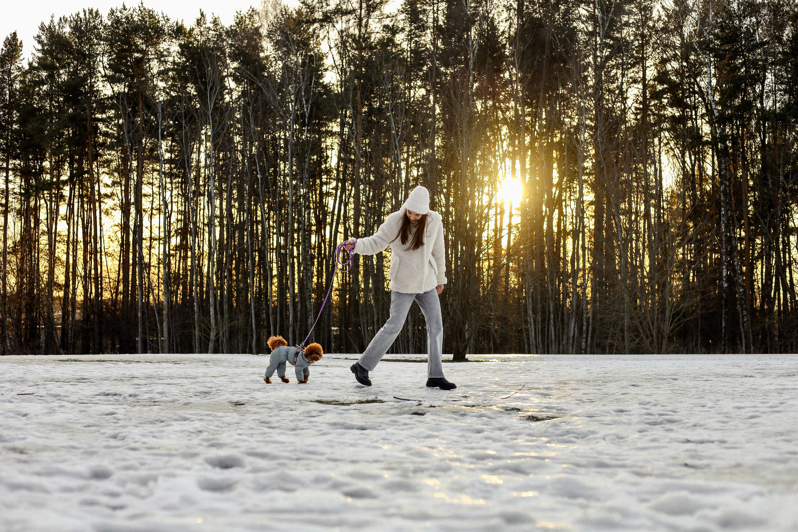 Филипп и Настя. Фотограф-анималист Ксения Шевцова|Москва
