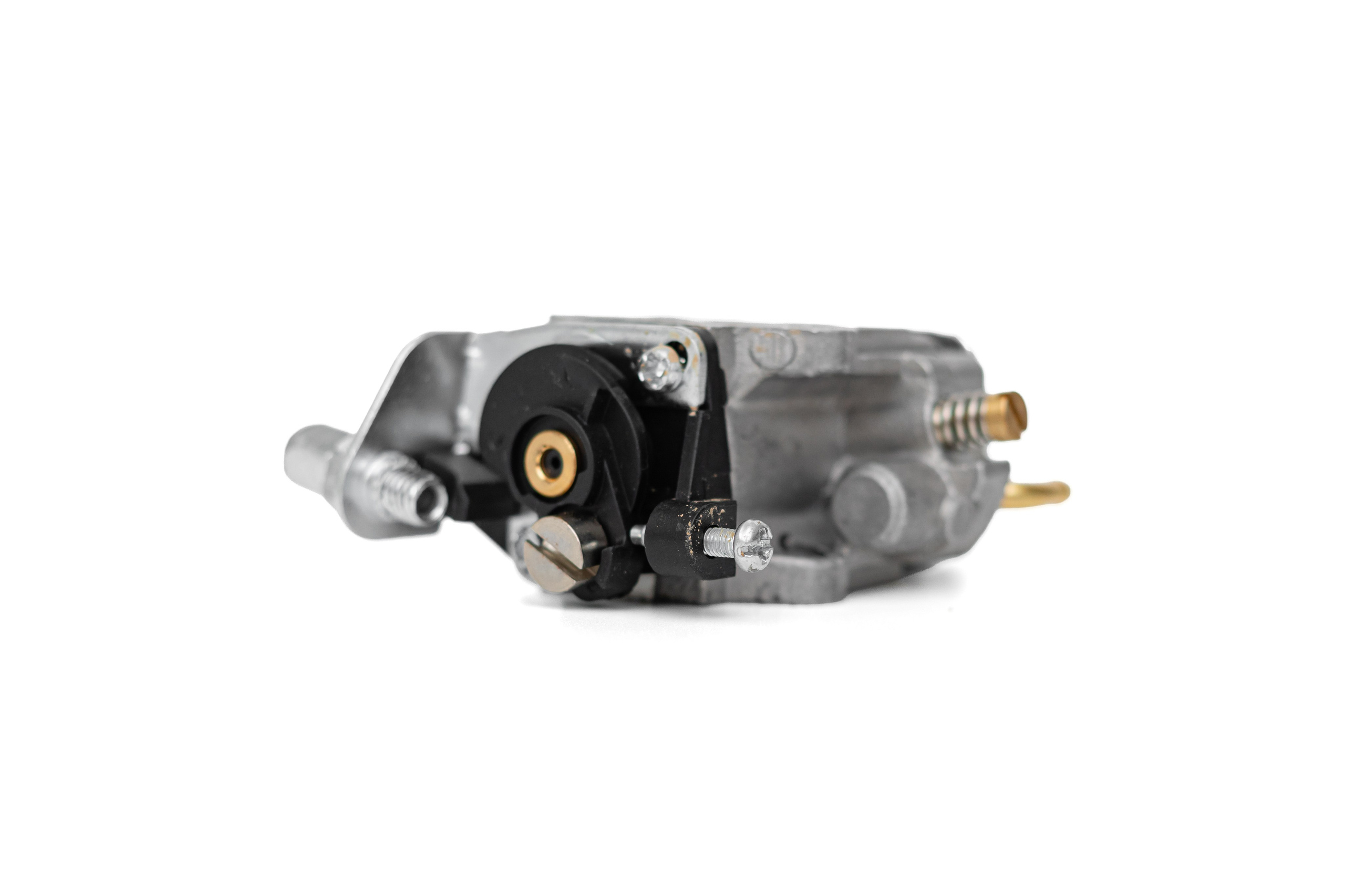 ФОТО. Фотограф Алина Гашникова