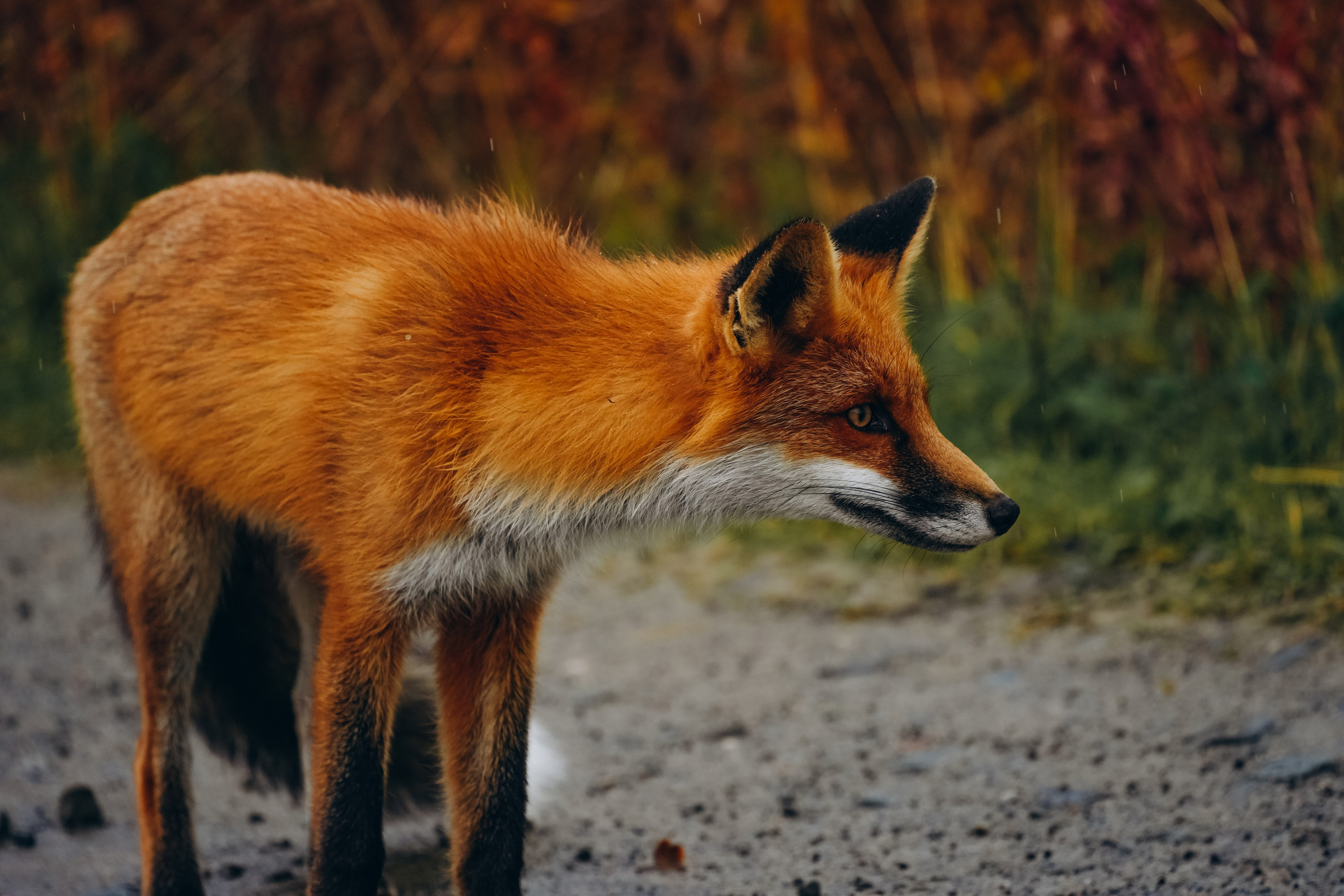 СЕВЕР. Event фотограф Степанова Александра