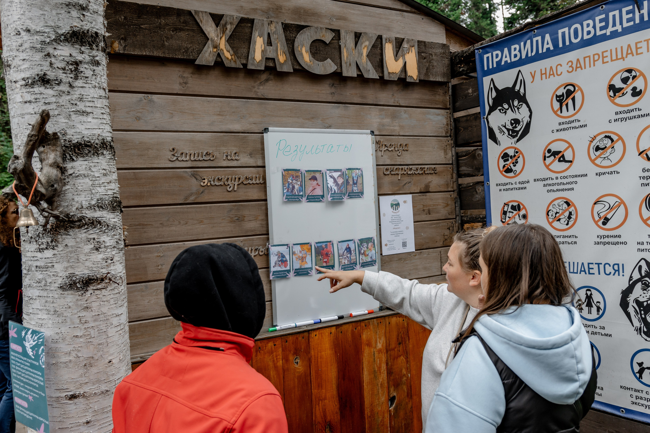 Дог-треккинг