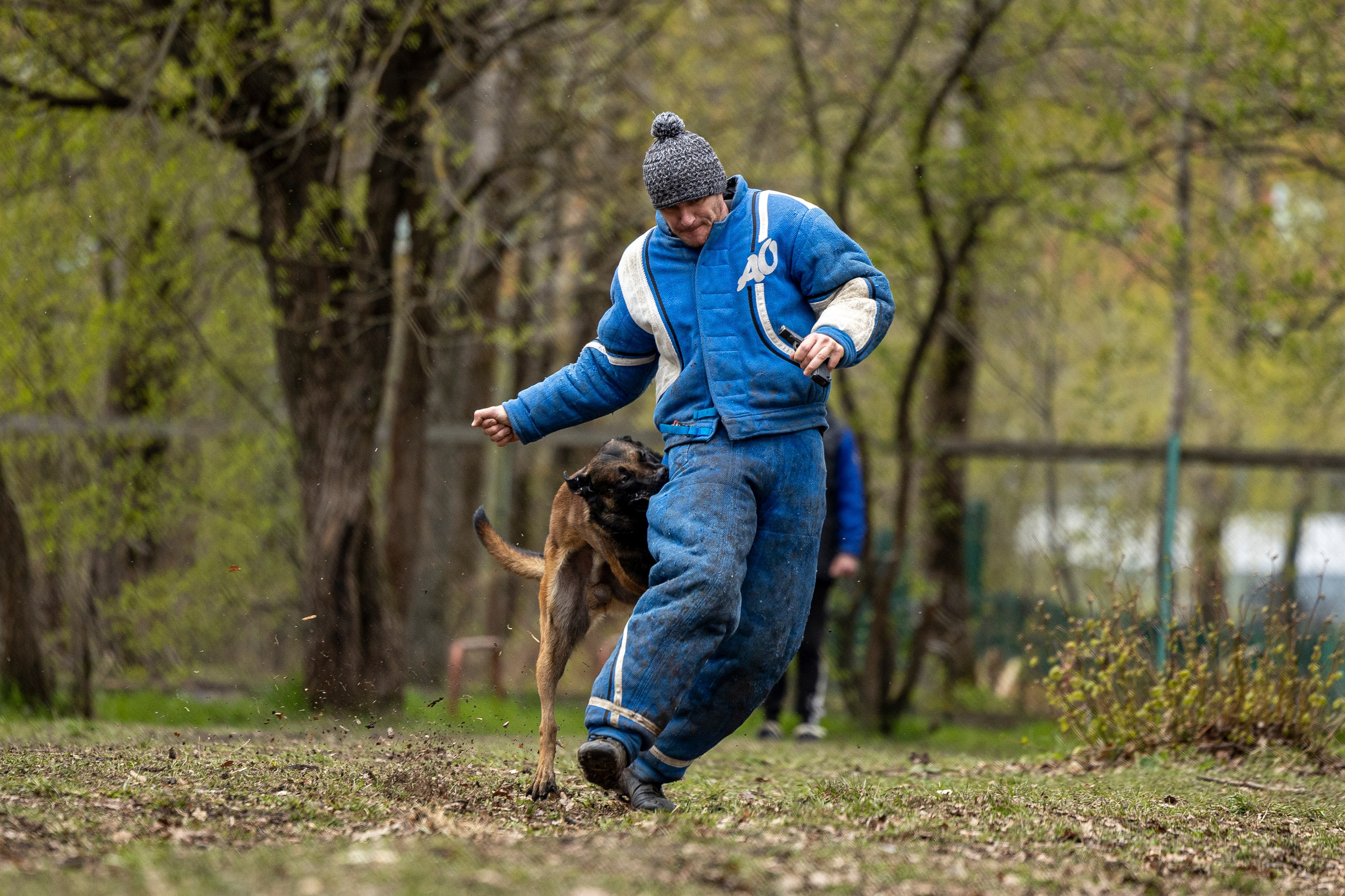 Квалификационные состязания по мондьорингу г. Вологда 11.05.24. Фотограф-анималист Анна Маринич