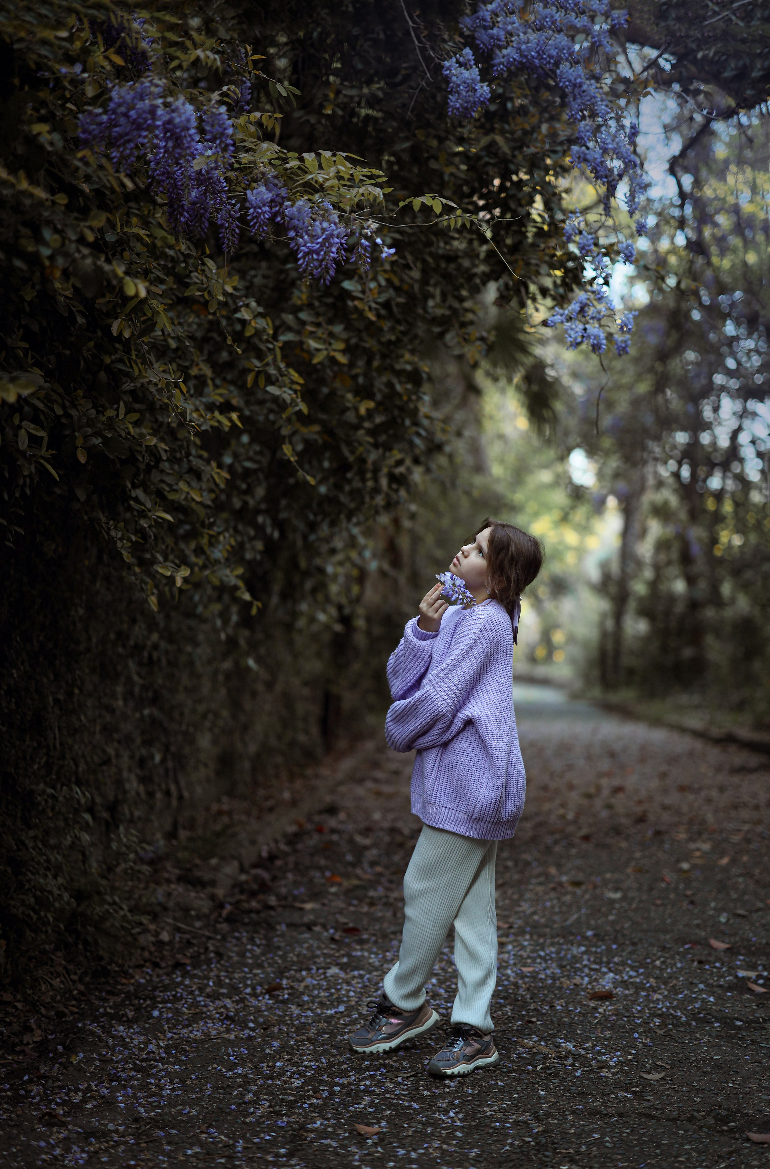 Глициния в Сухуми фотосессия