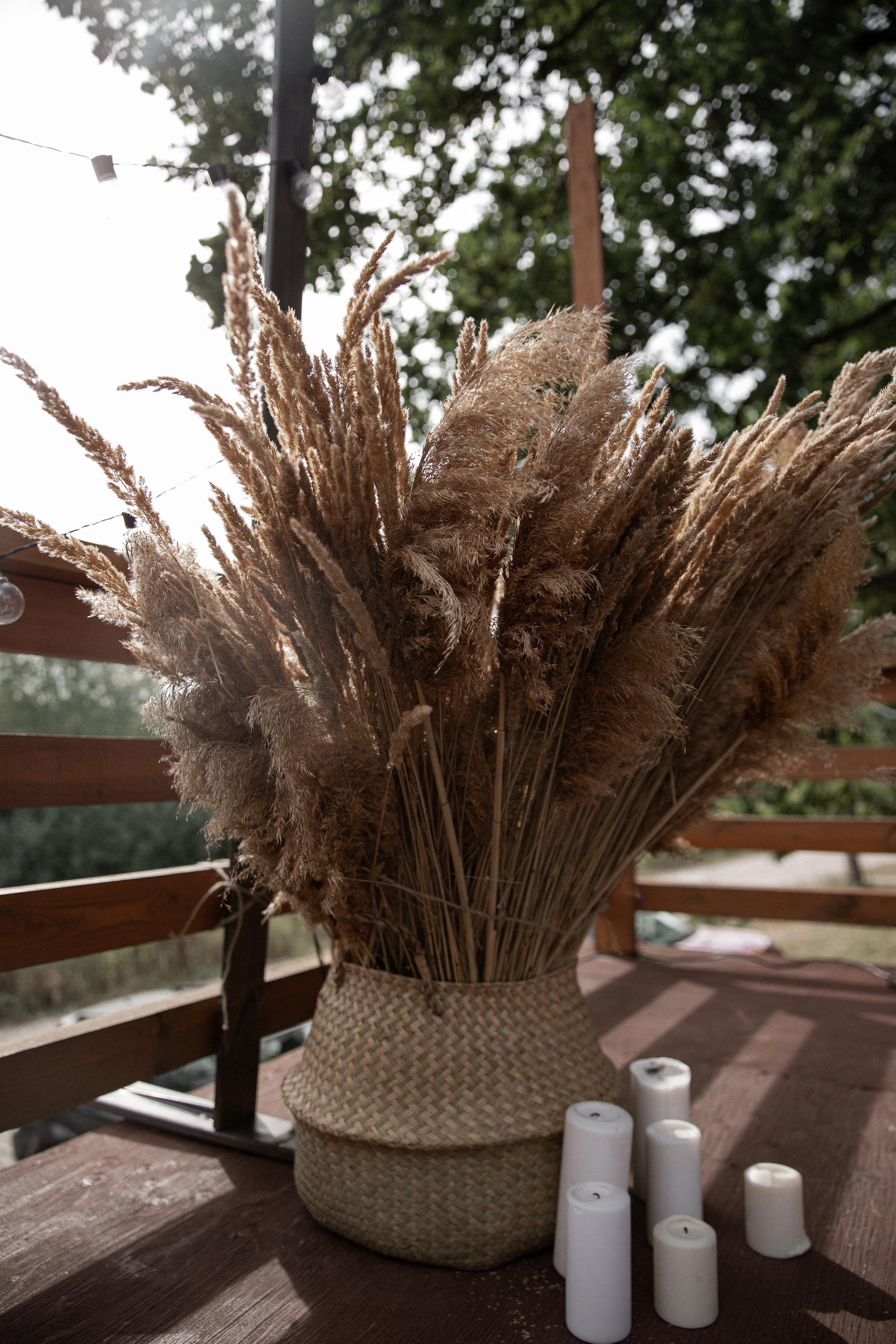 Тимофей & Ксения. Свадебный фотограф Самара Ирина Захарова