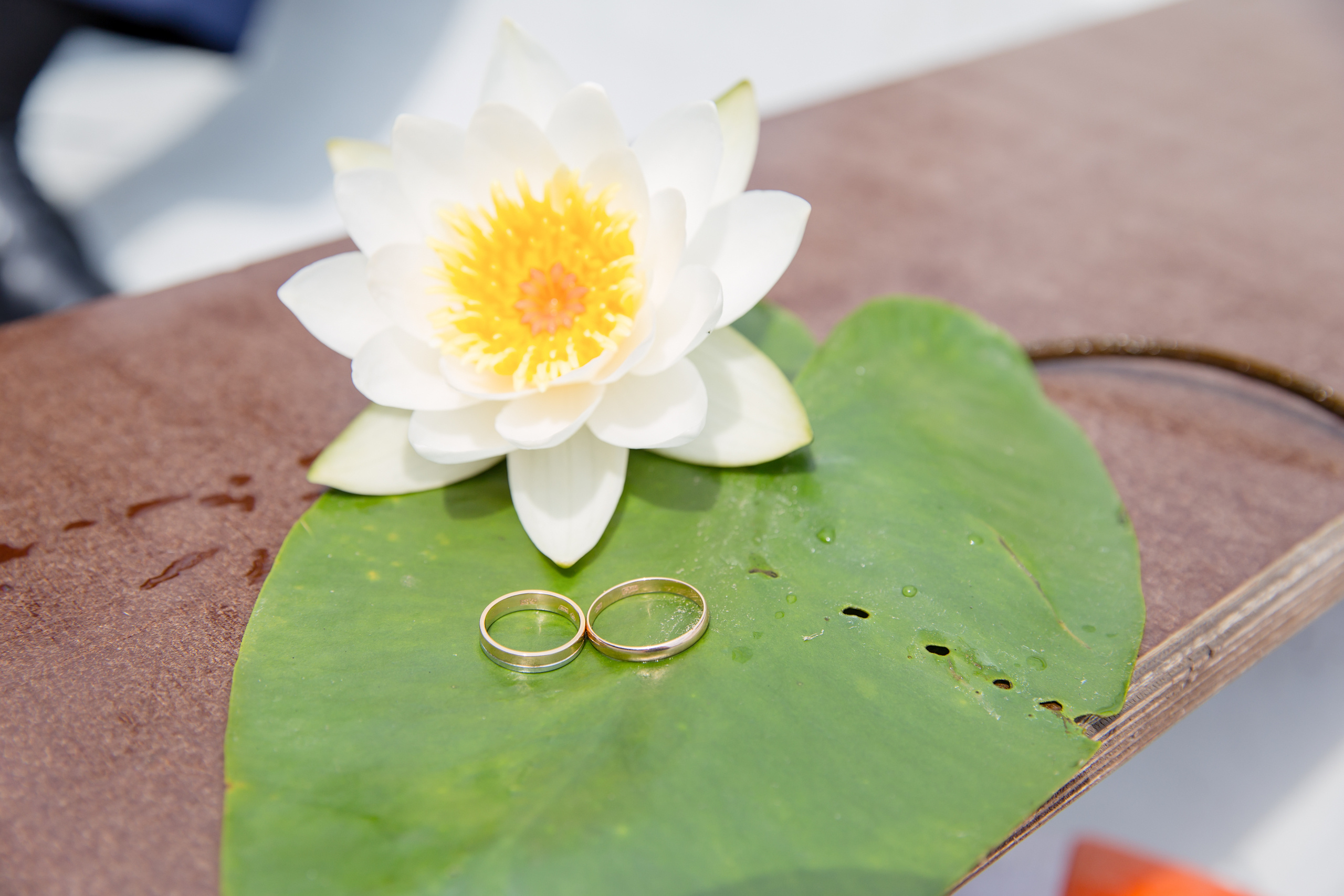 Светлана и Алексей. Свадебный и семейный фотограф в Калуге Александра Борис