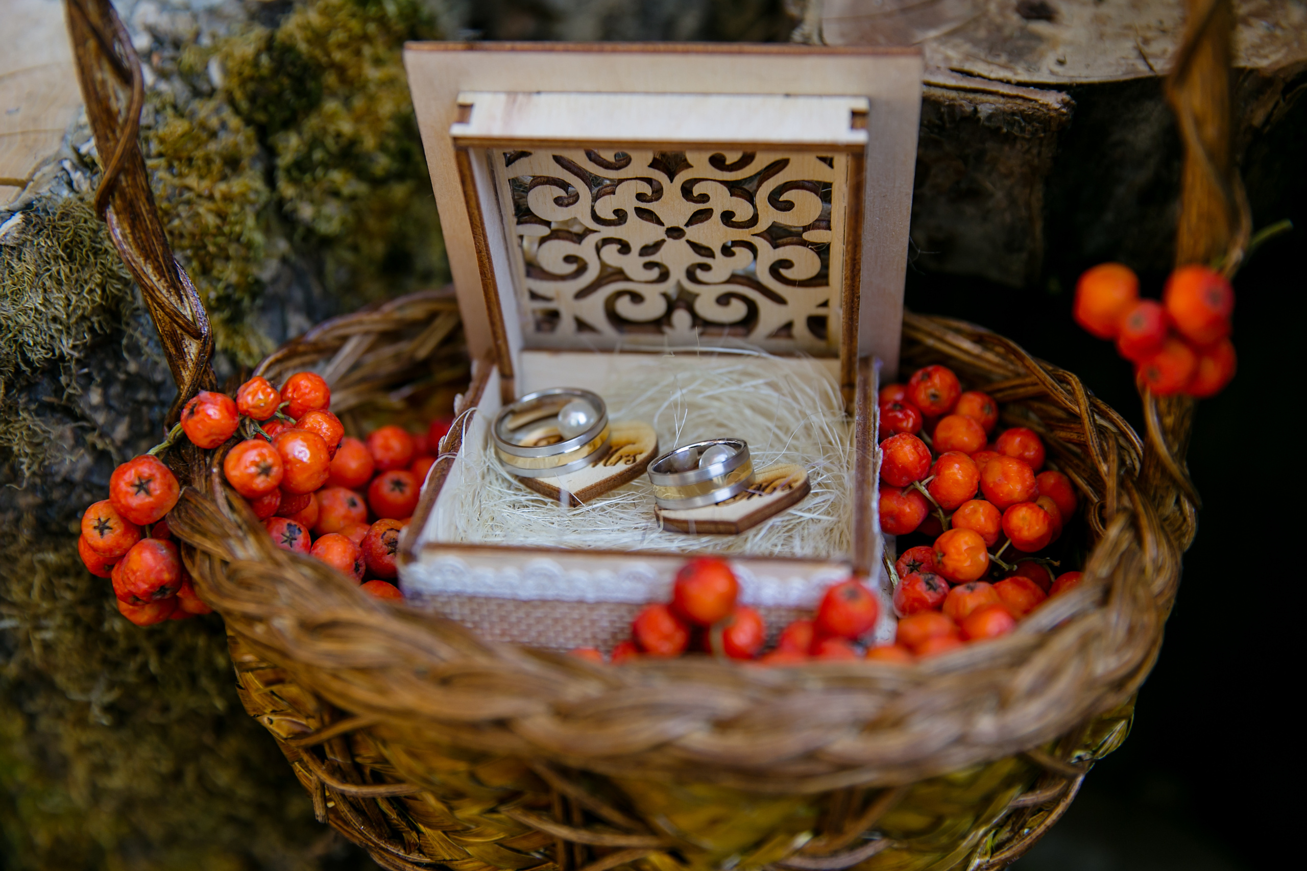 Екатерина и Александр. Свадебный и семейный фотограф в Калуге Александра Борис