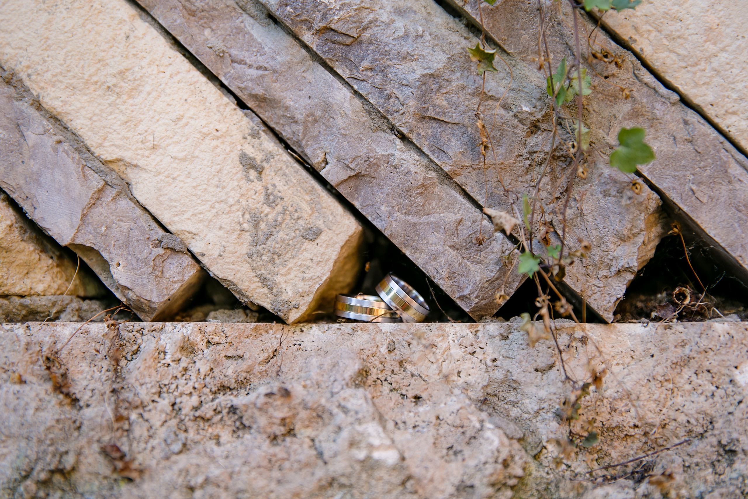 Екатерина и Александр. Свадебный и семейный фотограф в Калуге Александра Борис