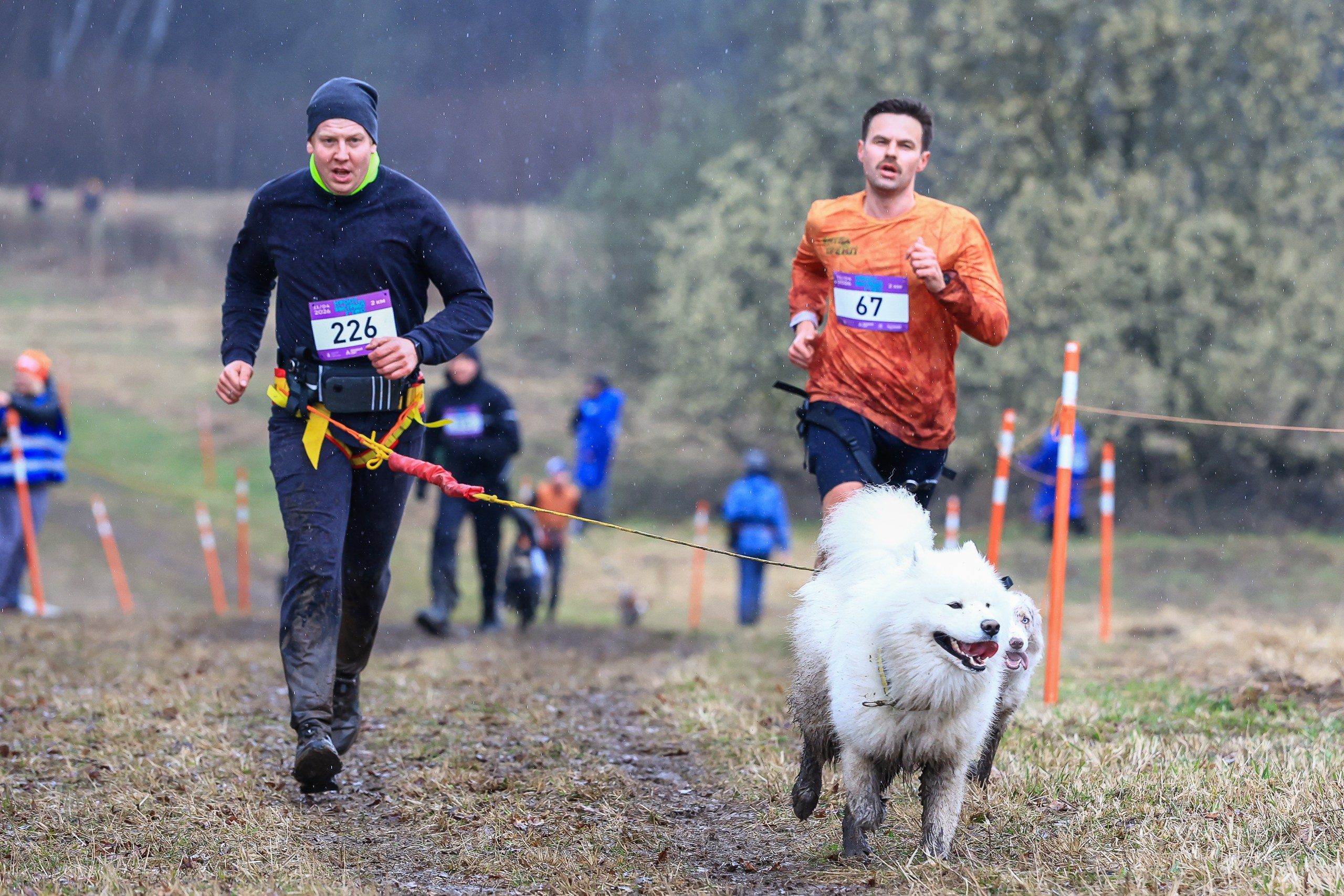 Быстрый Пёс!. Свадебная фотосъёмка в Москве, Туле