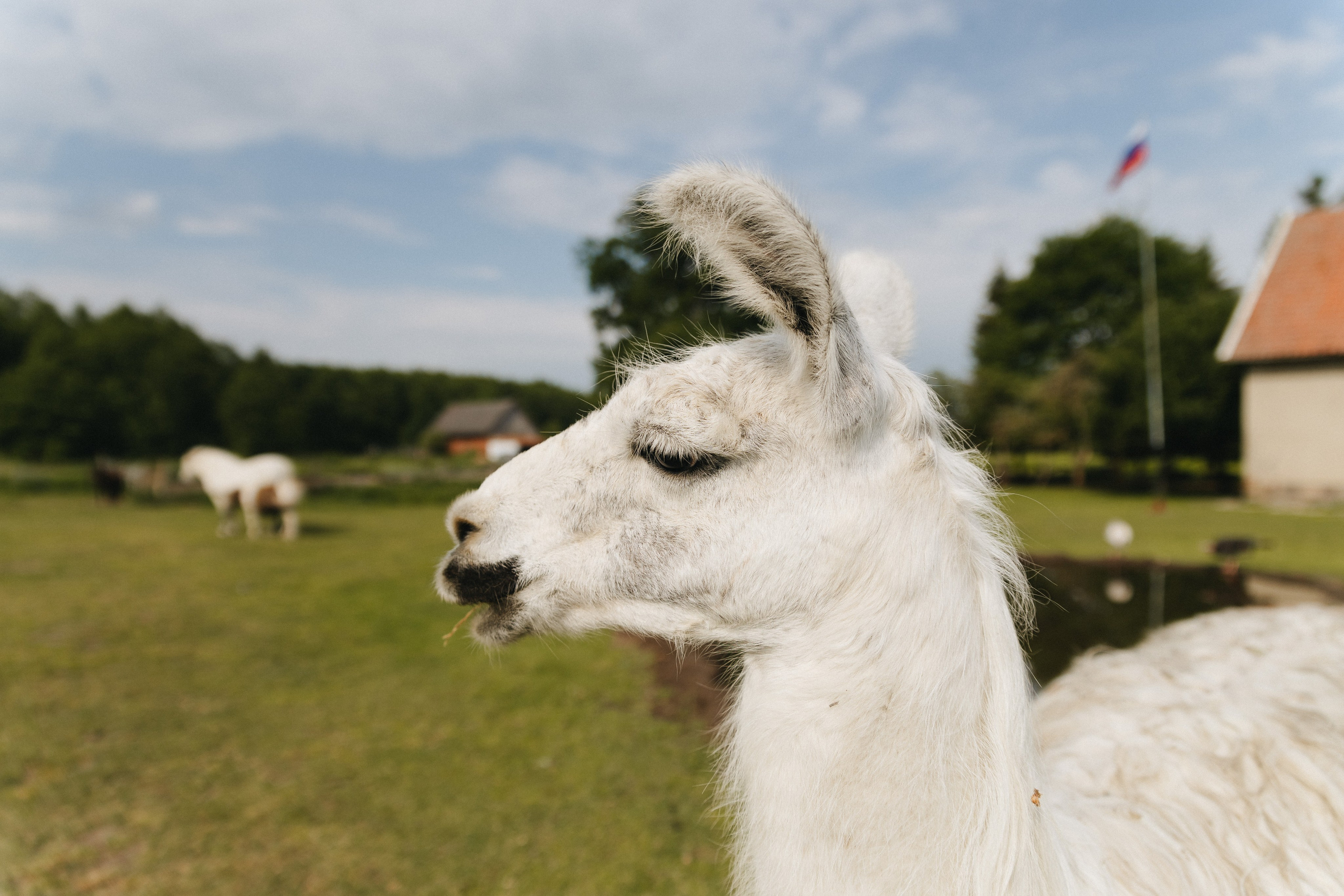 Тур — девичник LEF.TRAVEL.CLUB. KRIS KRUPINNIKOVA