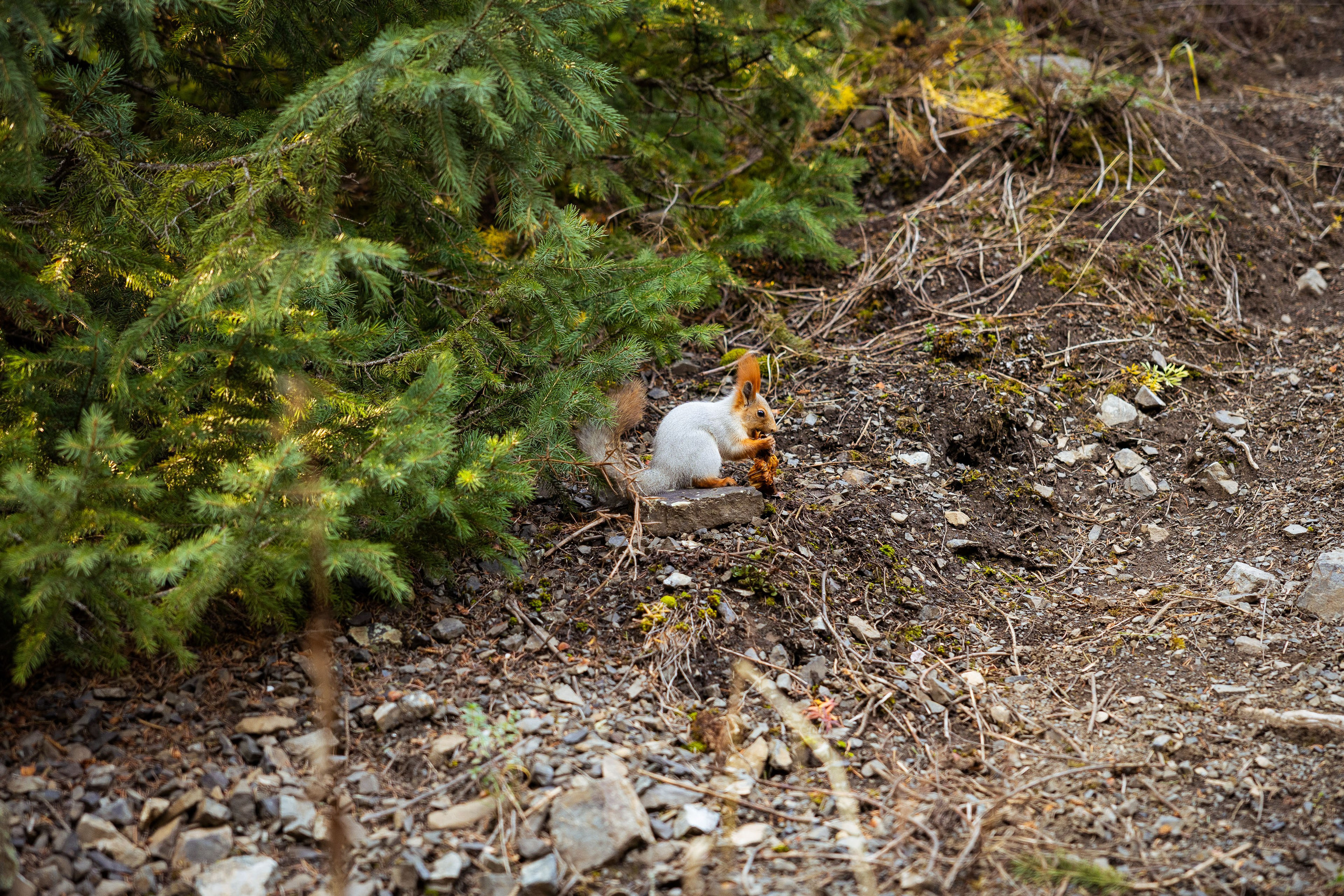 Казахстан (осень 2024). Фотограф Виноградов Константин