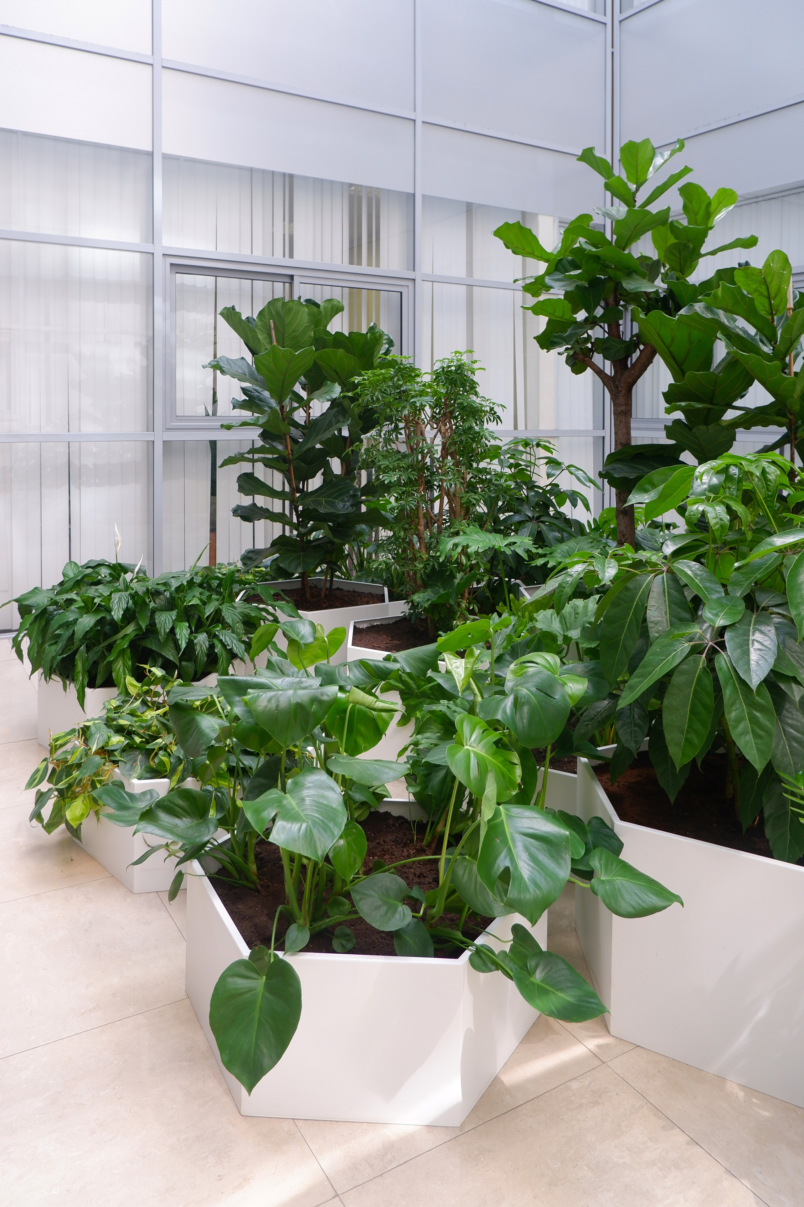 Фито технологии брендинг. Графический дизайн и ретушь фотографий, Москва