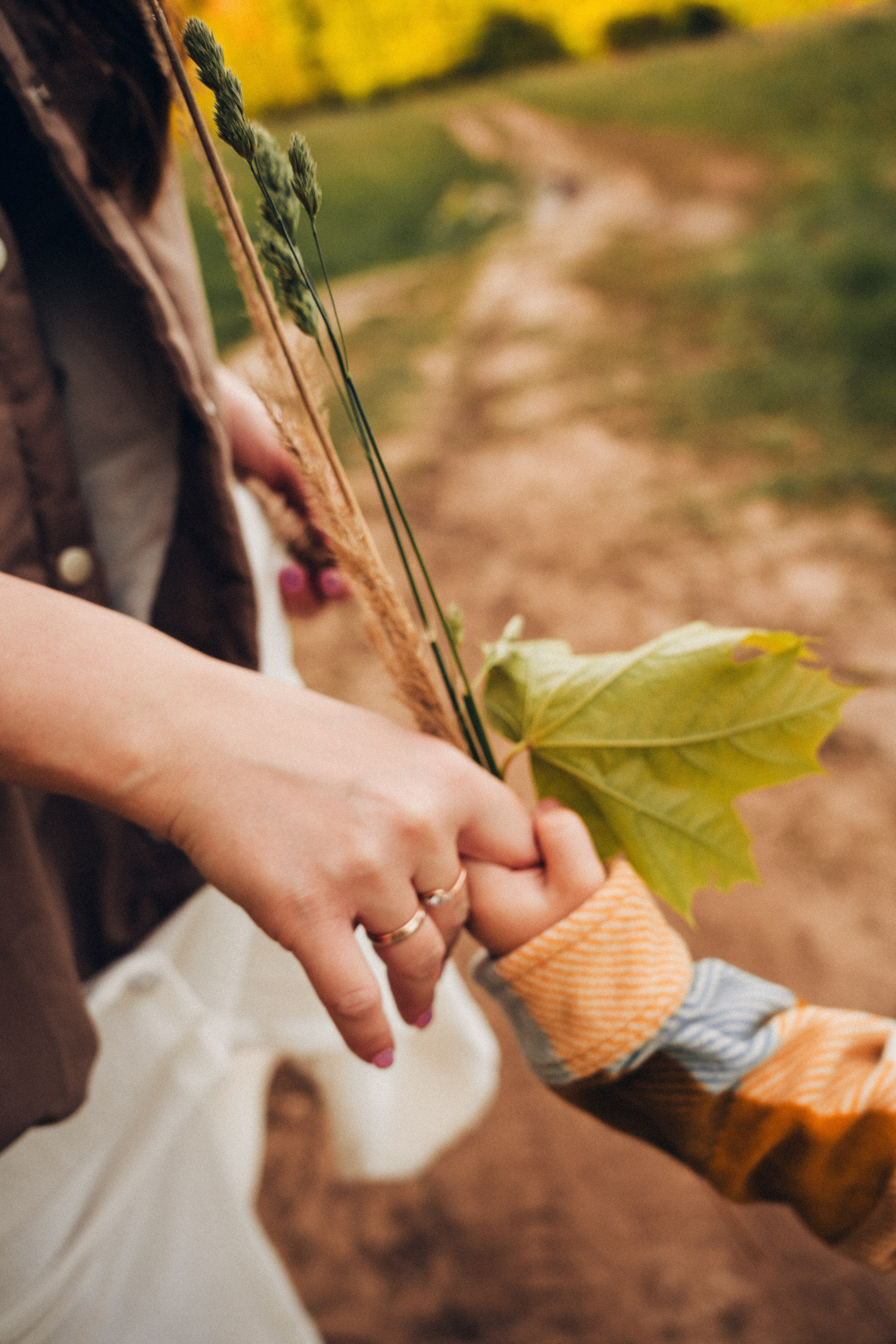 Семейная съемка на закате