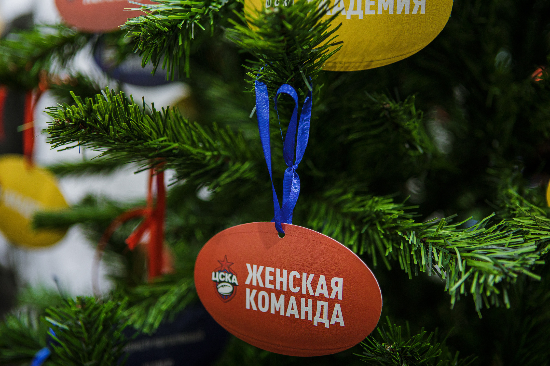 Встреча попечительского совета регби-клуба ЦСКА. Репортажный Фотограф Москва Дарья Лунева