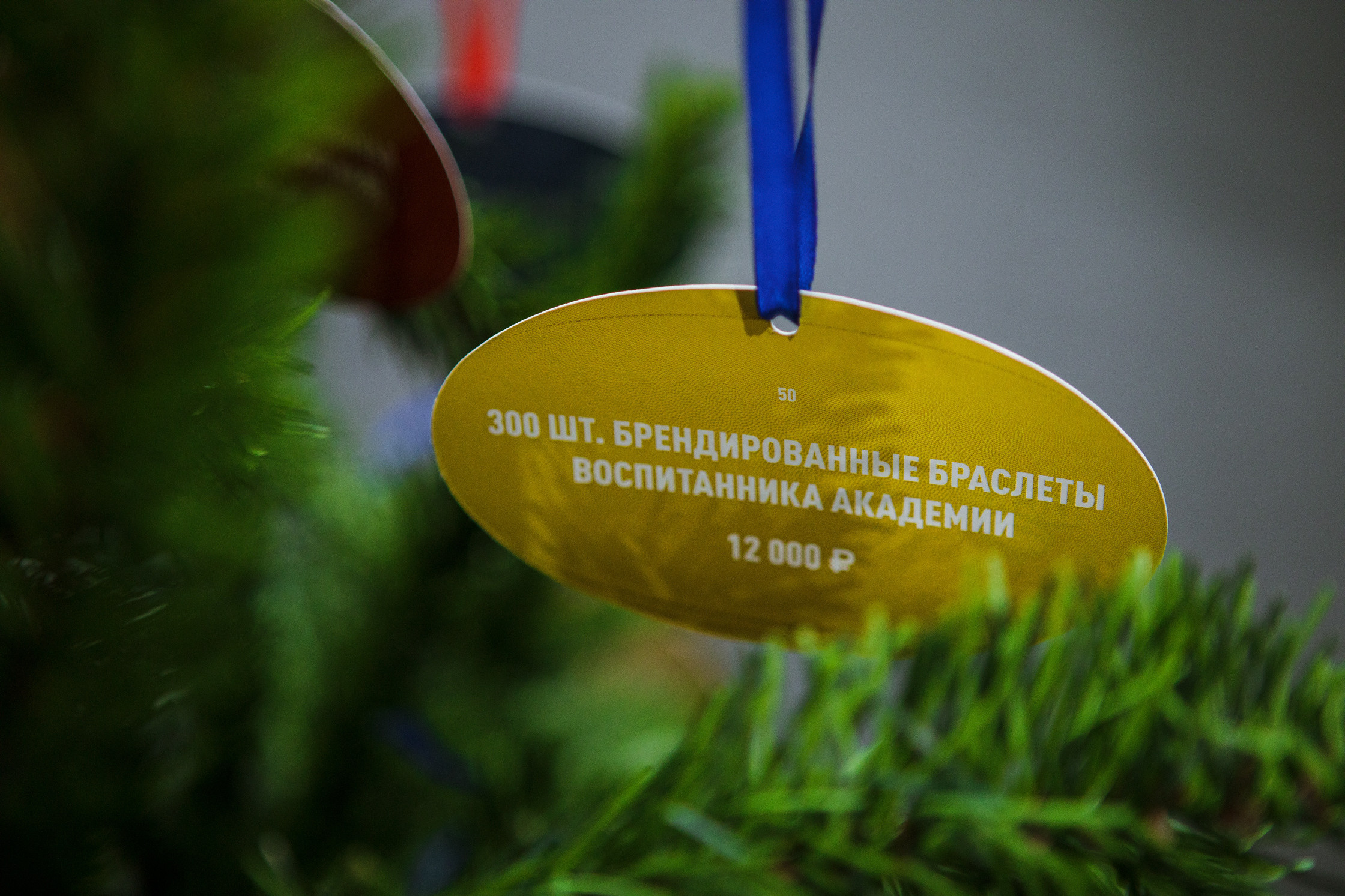 Встреча попечительского совета регби-клуба ЦСКА. Репортажный Фотограф Москва Дарья Лунева