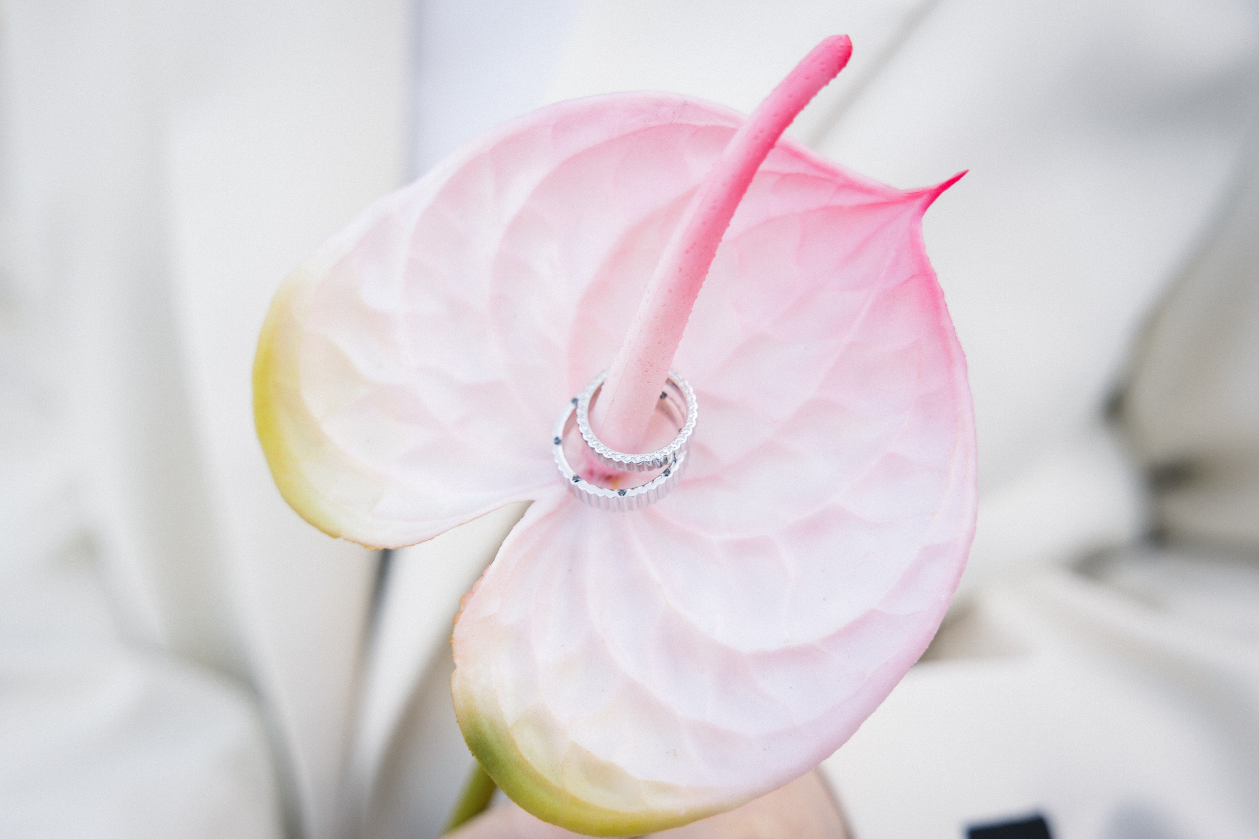 Лера скажет «ДА» Данил&Лера. Свадебный фотограф в Ижевске Диля Ахмадишина