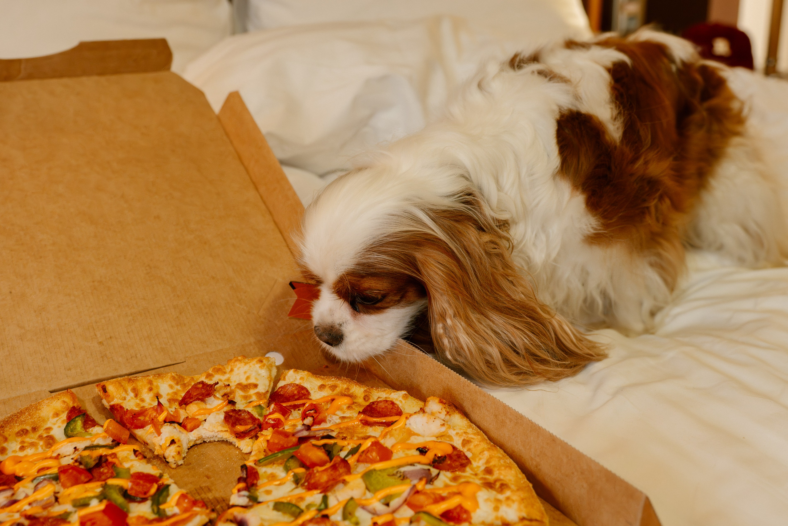 Альбомы романтических съёмок. Семейный и свадебный фотограф в Москве и Домодедово Анна Авилочкина