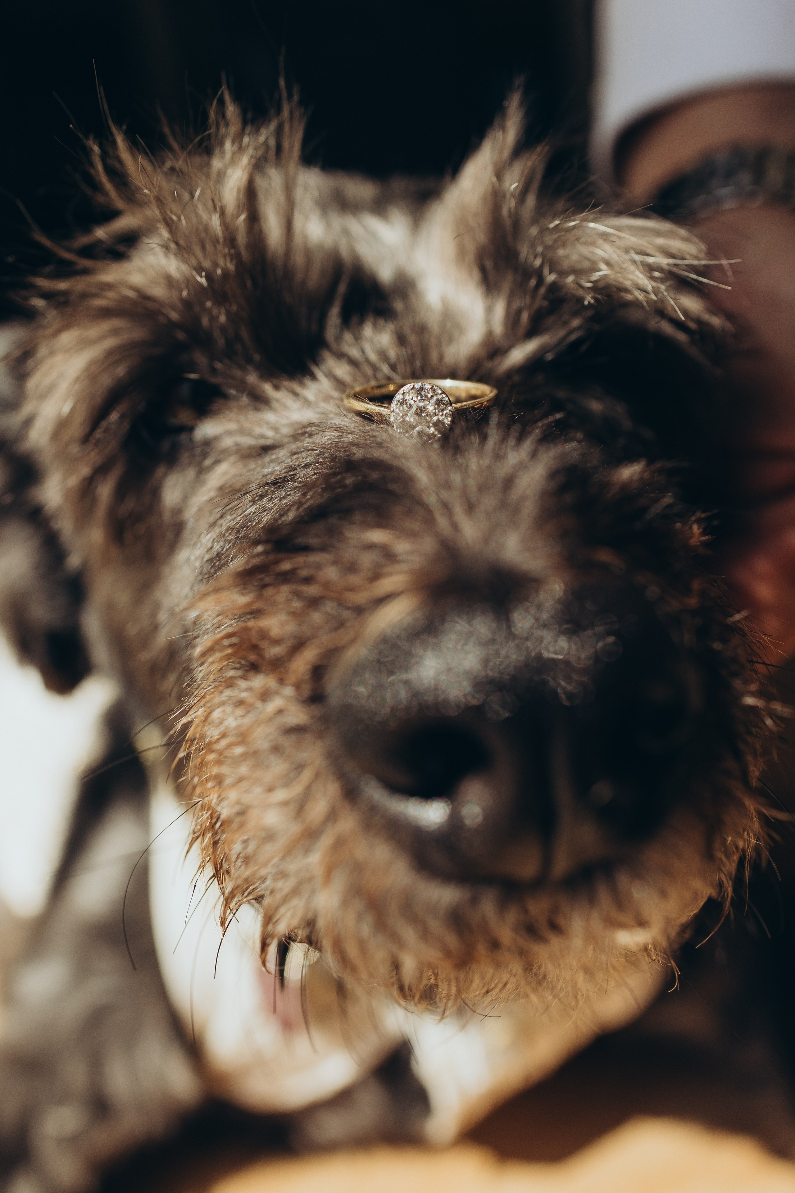 Химена и Мануэль, Ариа и Буки. Ирина Крохалева. Семейный фотограф в Екатеринбурге