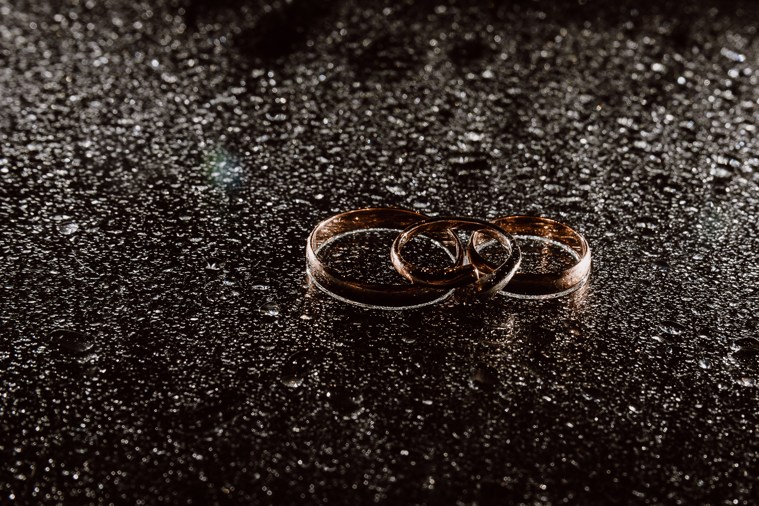 Такое вот доброе утро…рррр)). Свадебный фотограф в Ростове Александра Груздева