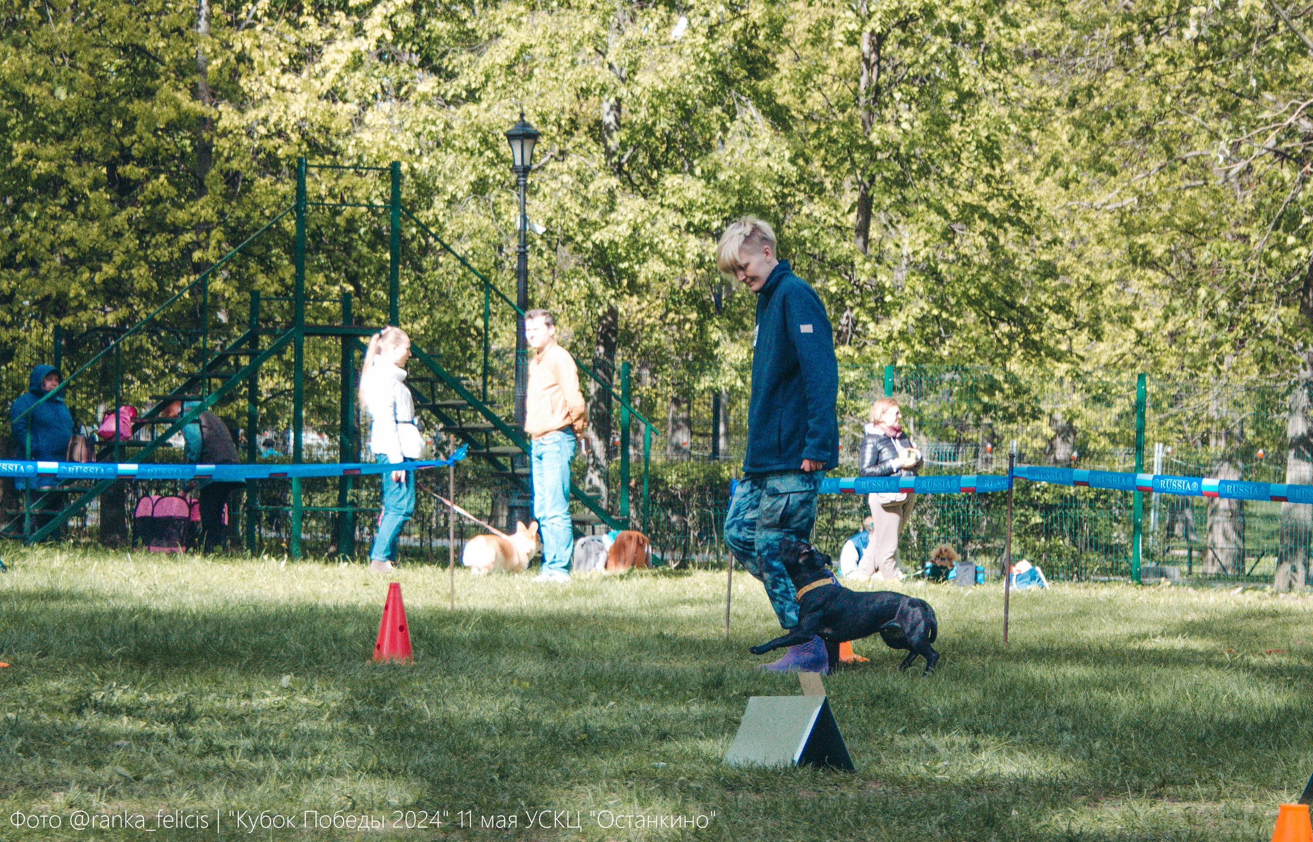 Тсахик. BLGKV питомник собак