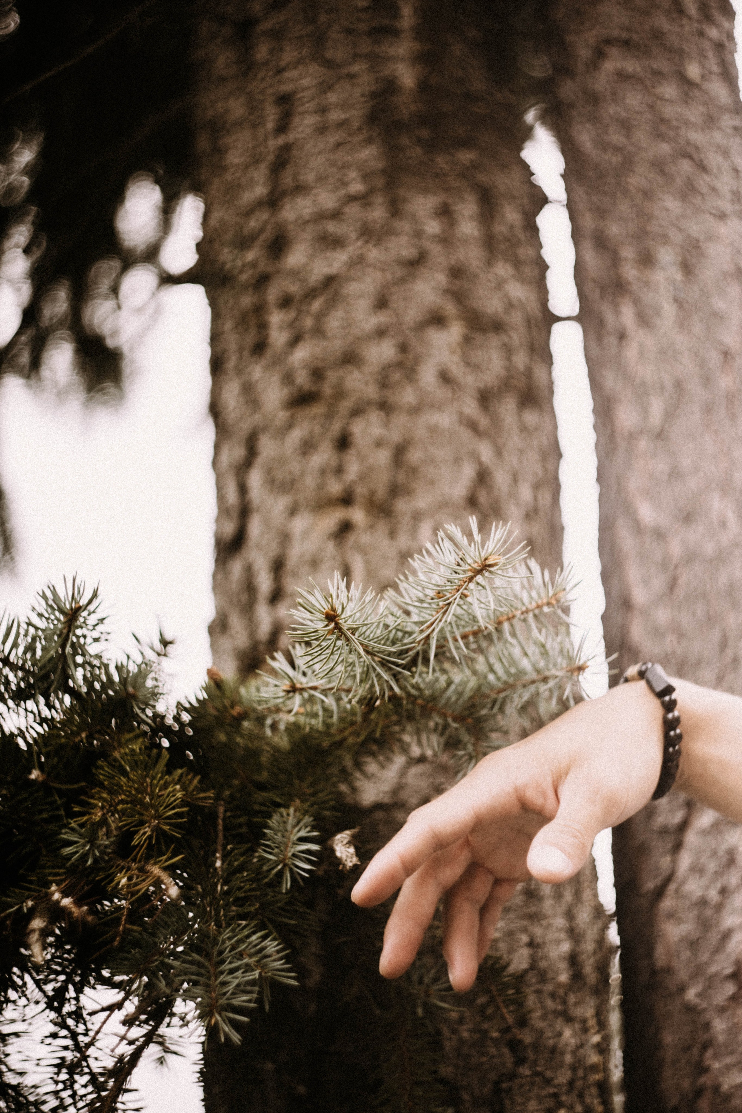 Ириша + Миша. Брат и сестра. Фотограф в Нижнем Новгороде