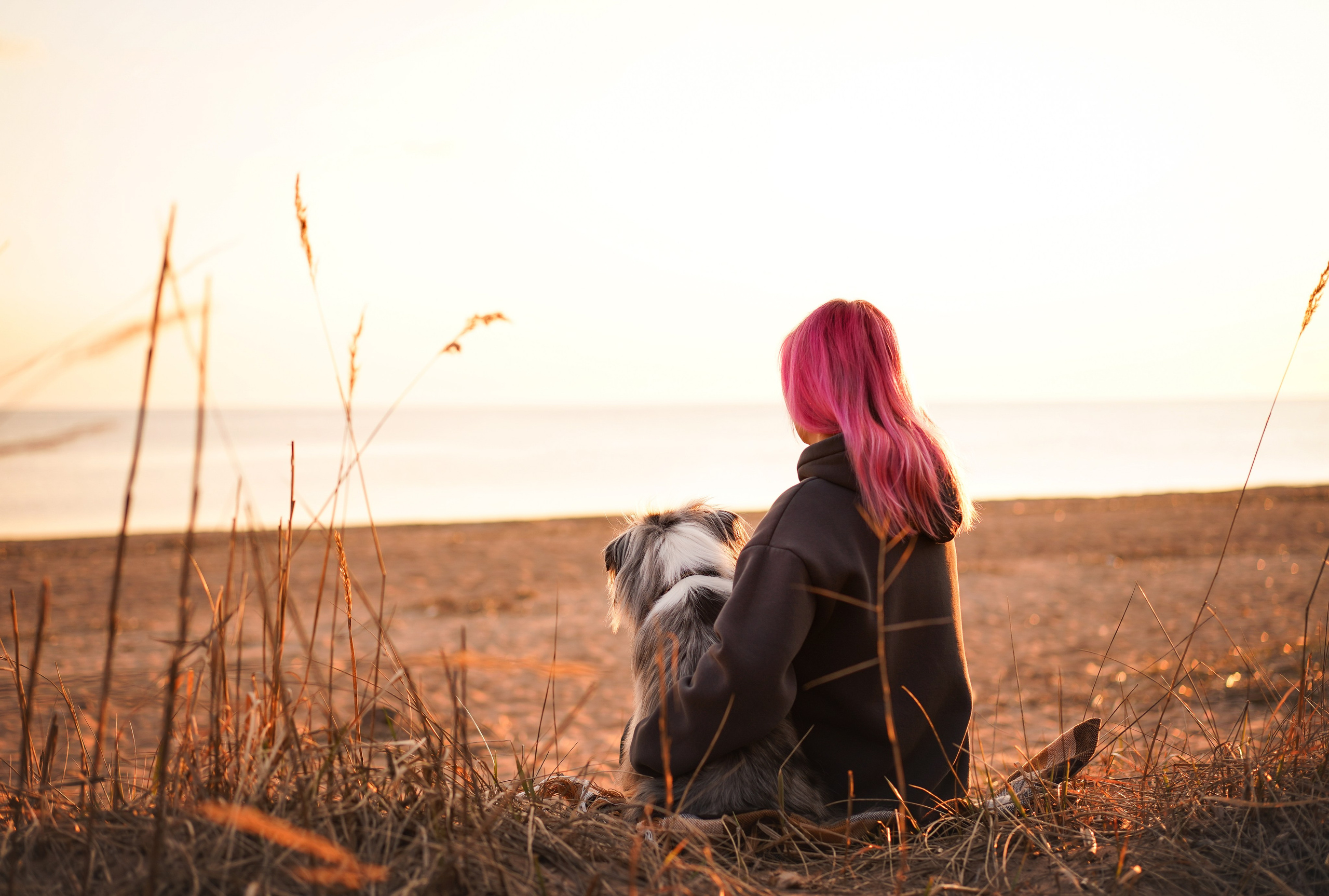 Алиса и Джокер. Фотограф-анималист в Санкт-Петербурге Яна Мартынова