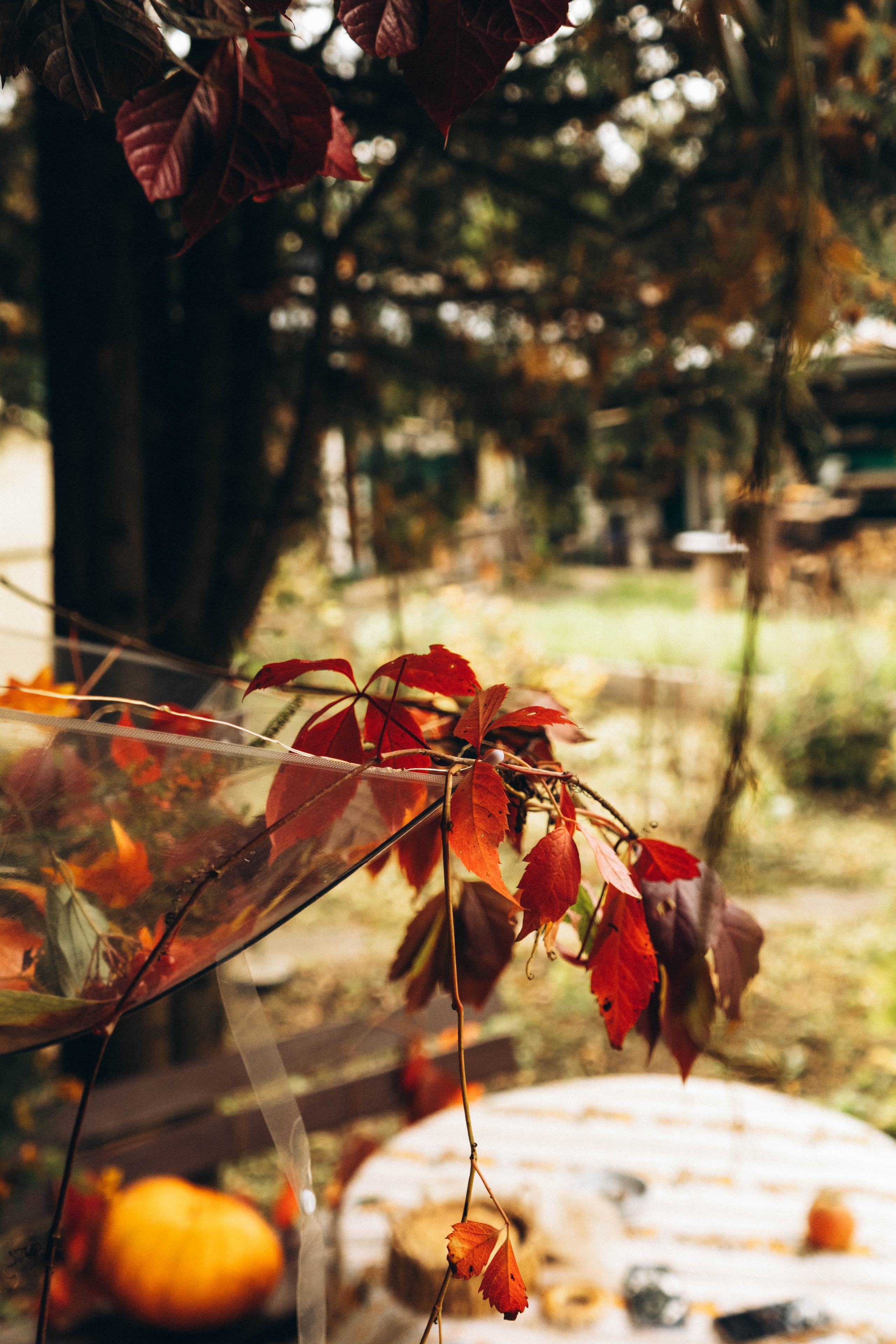 Съемка студии «Аж уютно». Фотограф Москва Валерия Веденина