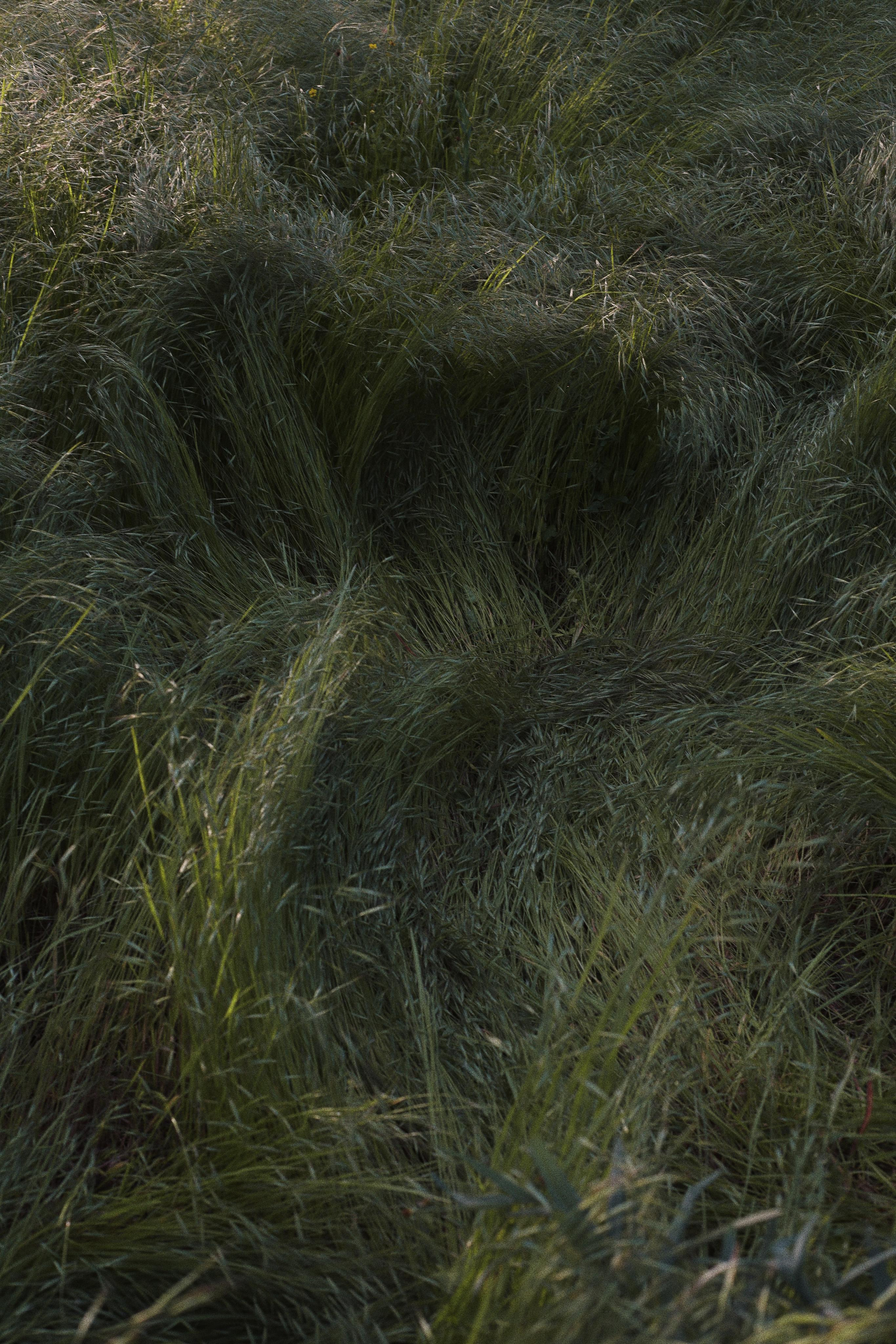 Женя. Фотограф Ростов-на-Дону