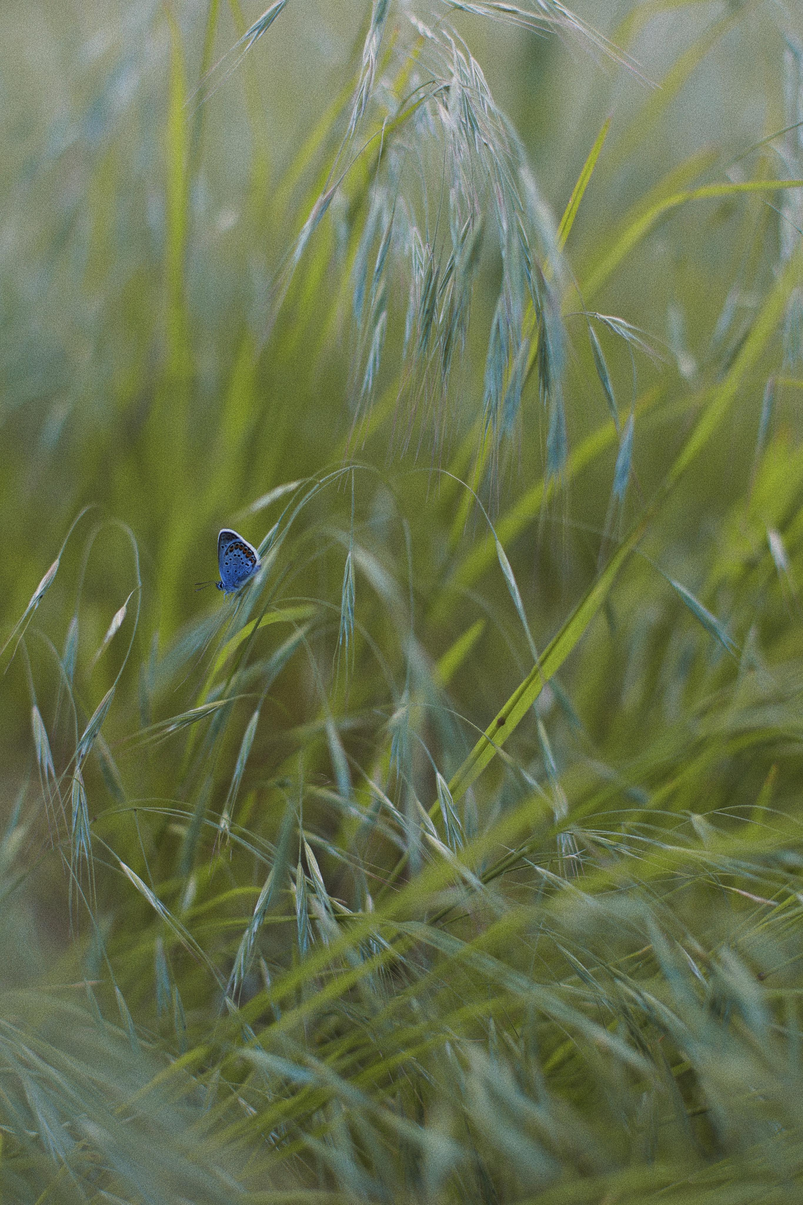 Женя. Фотограф Ростов-на-Дону