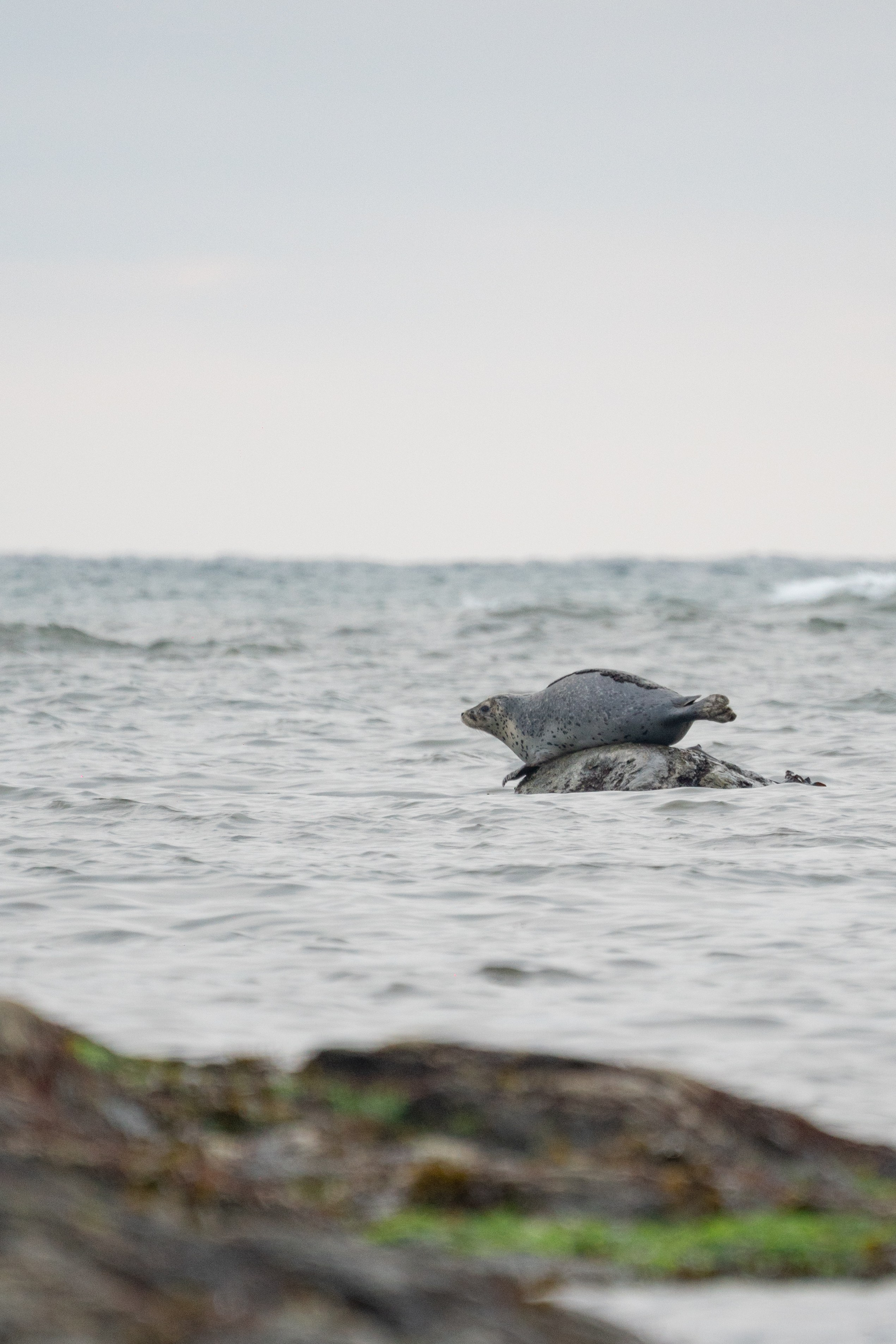 Сахалин. Gusarov Travel Photography