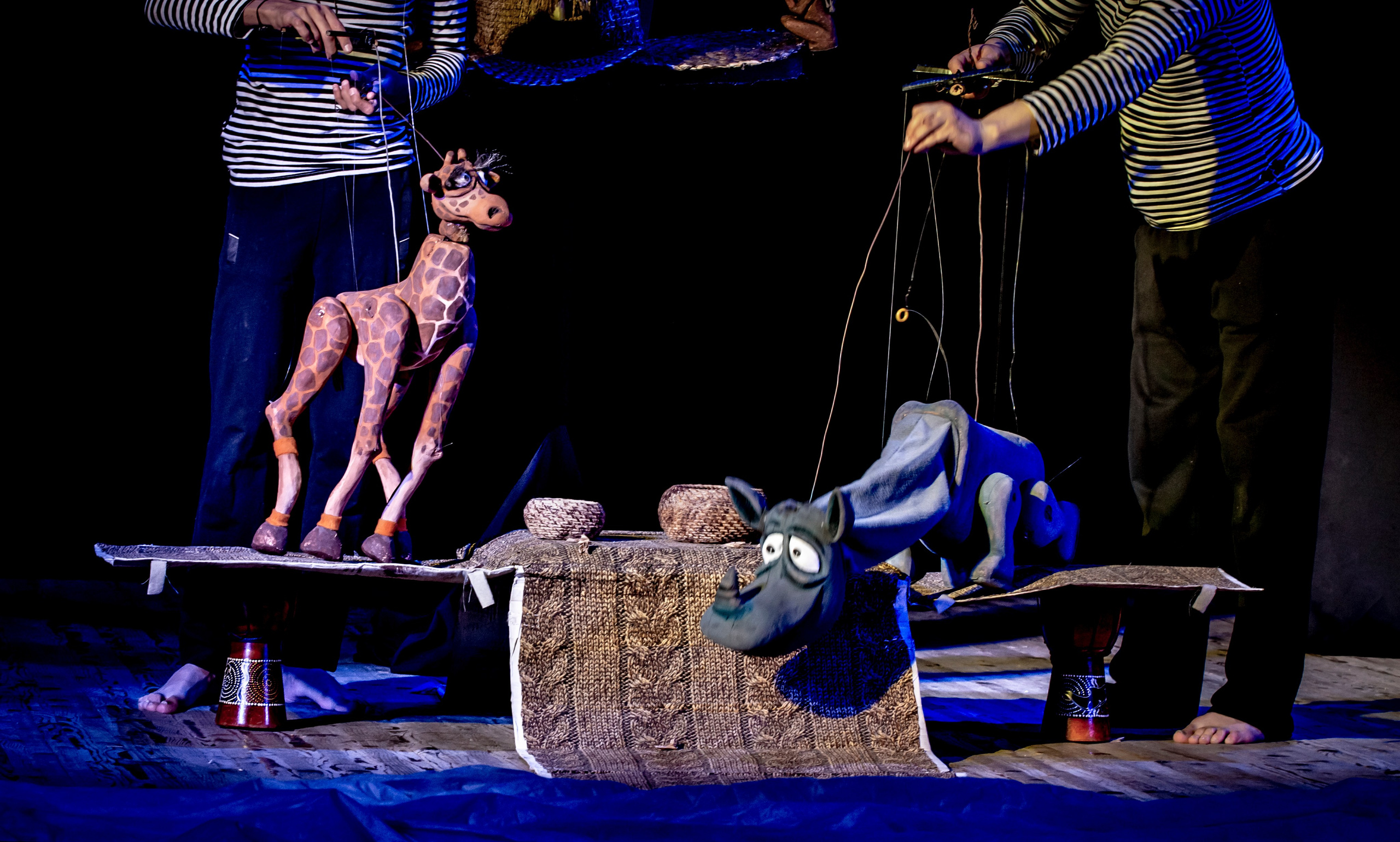 Жирафа и носорог спектакль театра Саквояж. Фотограф в Сочи Юрий Шептаев
