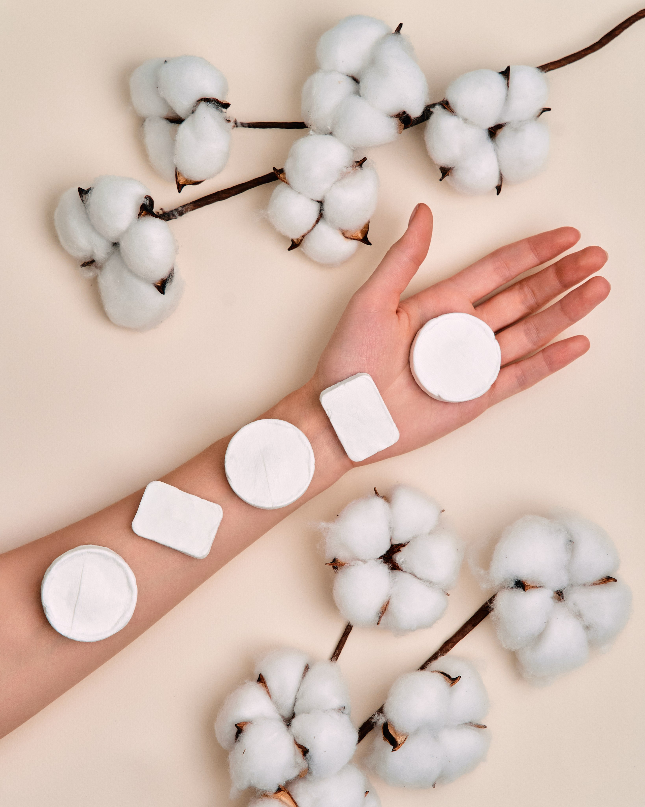 Blanco Belle. Фотограф Москва Сергей Громов