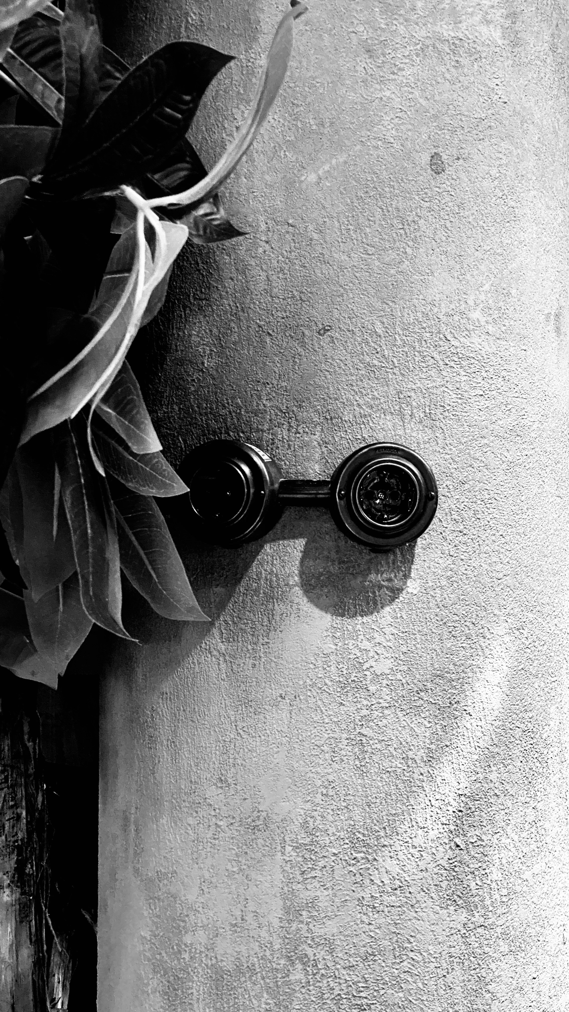 Мобильное фото. Фотограф в Москве Айгуль Евграфова