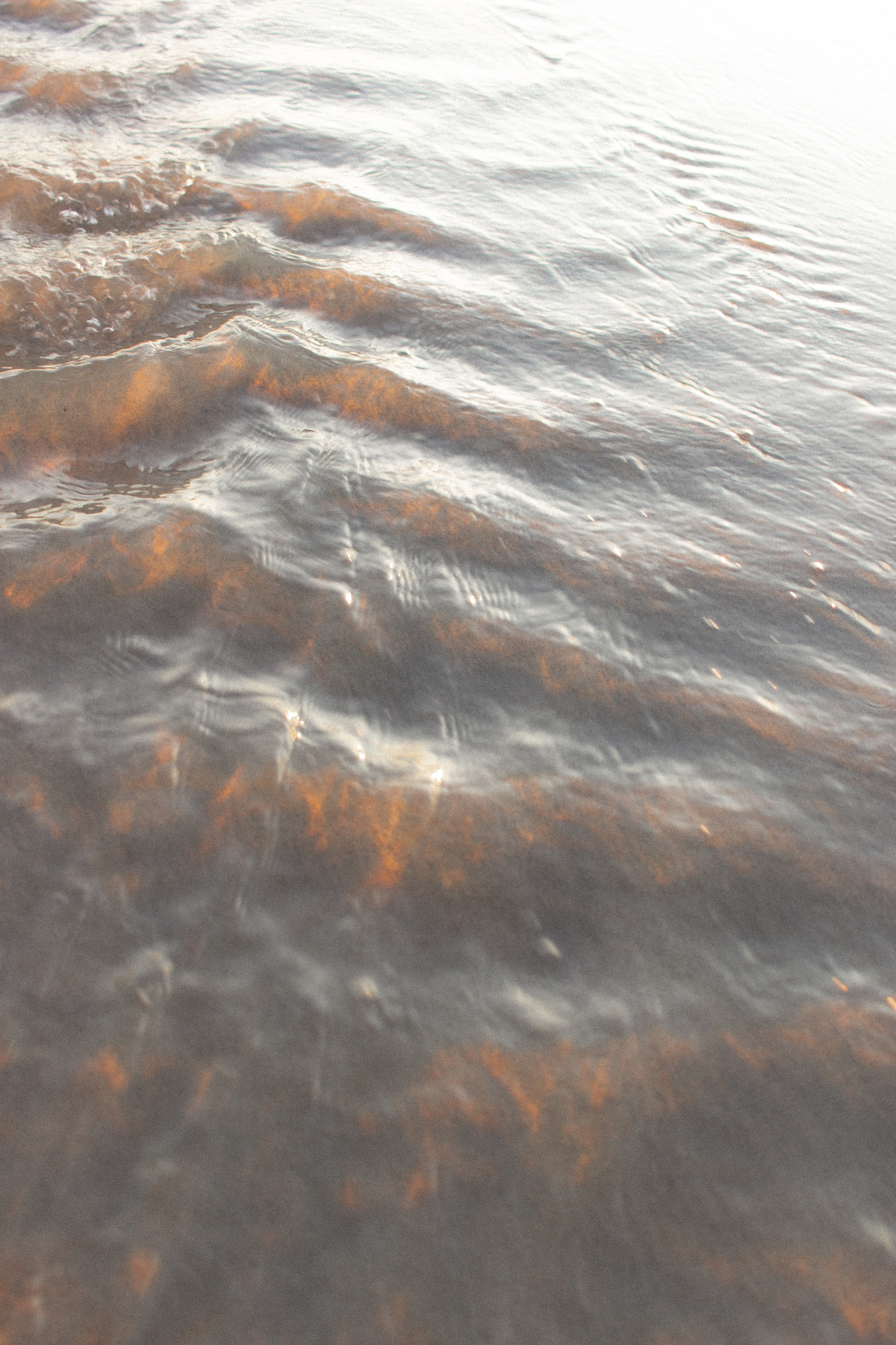 Киношная парная фотосессия на море в Калининграде / Донское. Портретный фотограф в Калининграде Рита Холодова