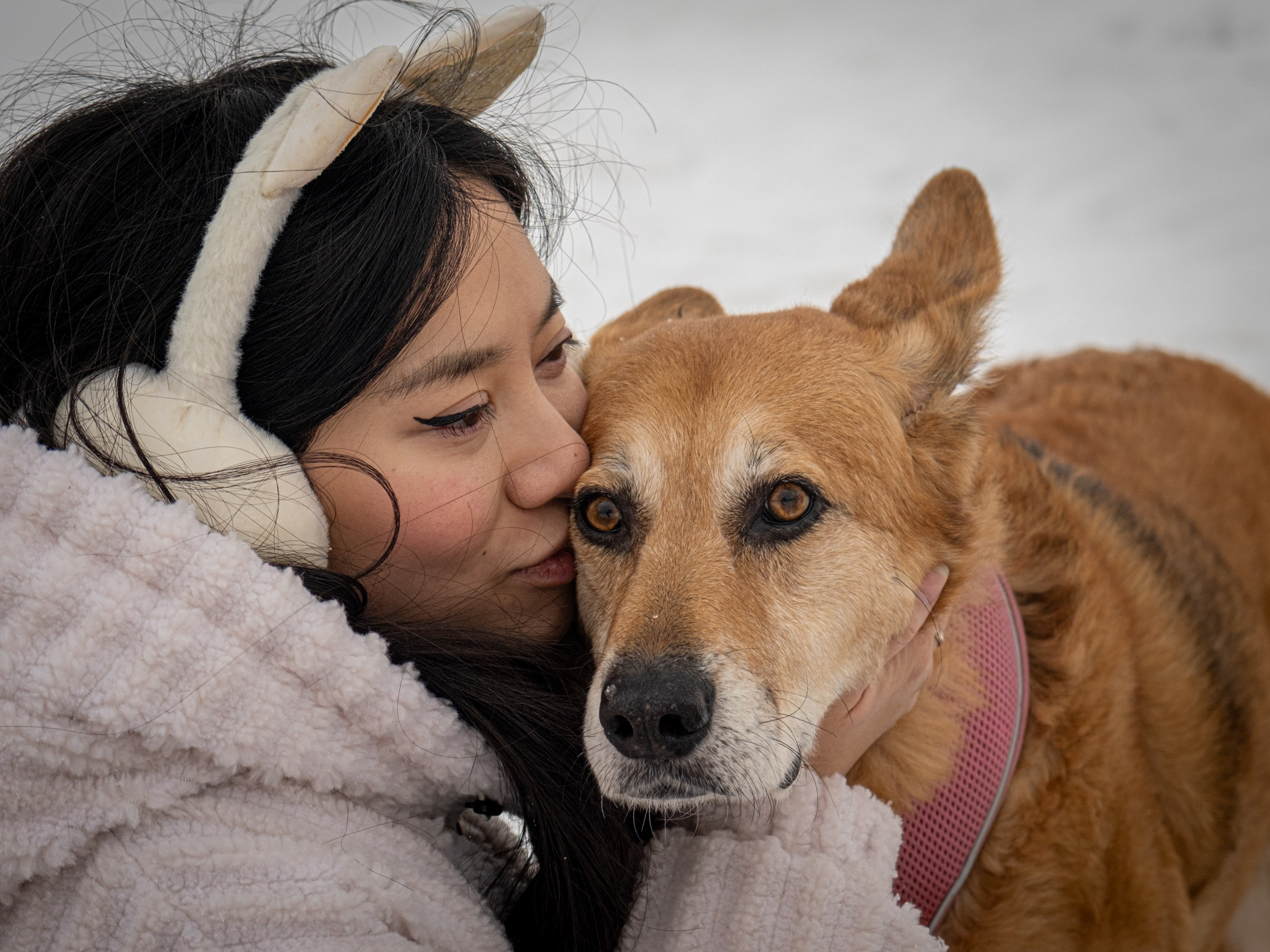 Прекрасная семья Кирилла и Лилии!. Зоофотограф, фотограф животных в Москве и области Дина Дамоцева