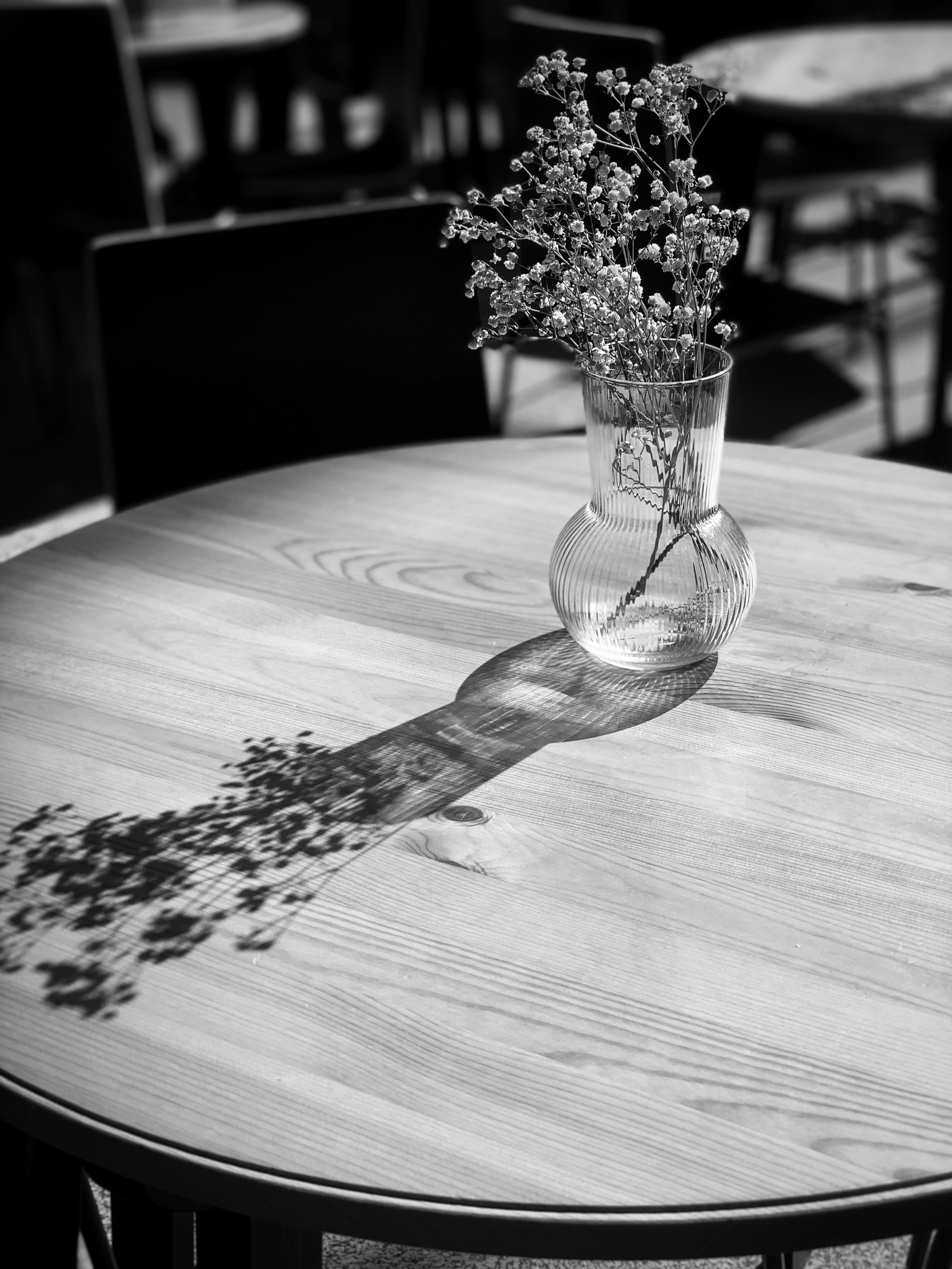 2021. Тащилин Сергей. Фотографии. Жизнь. Хобби