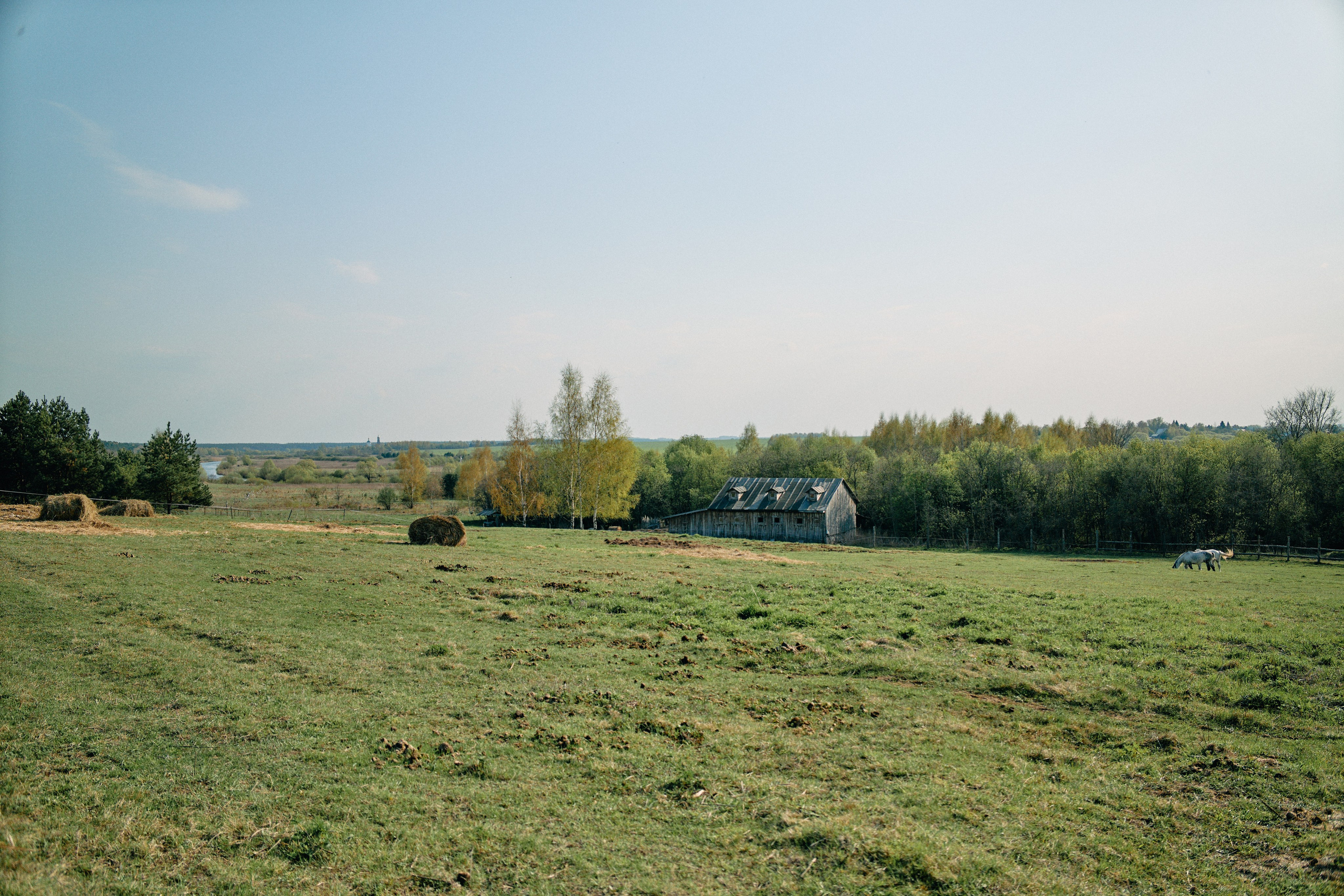 Бутик-отель Поле летом. Профессиональный Фотограф во Владимире, в Москве и в Суздале — Полина Романычева
