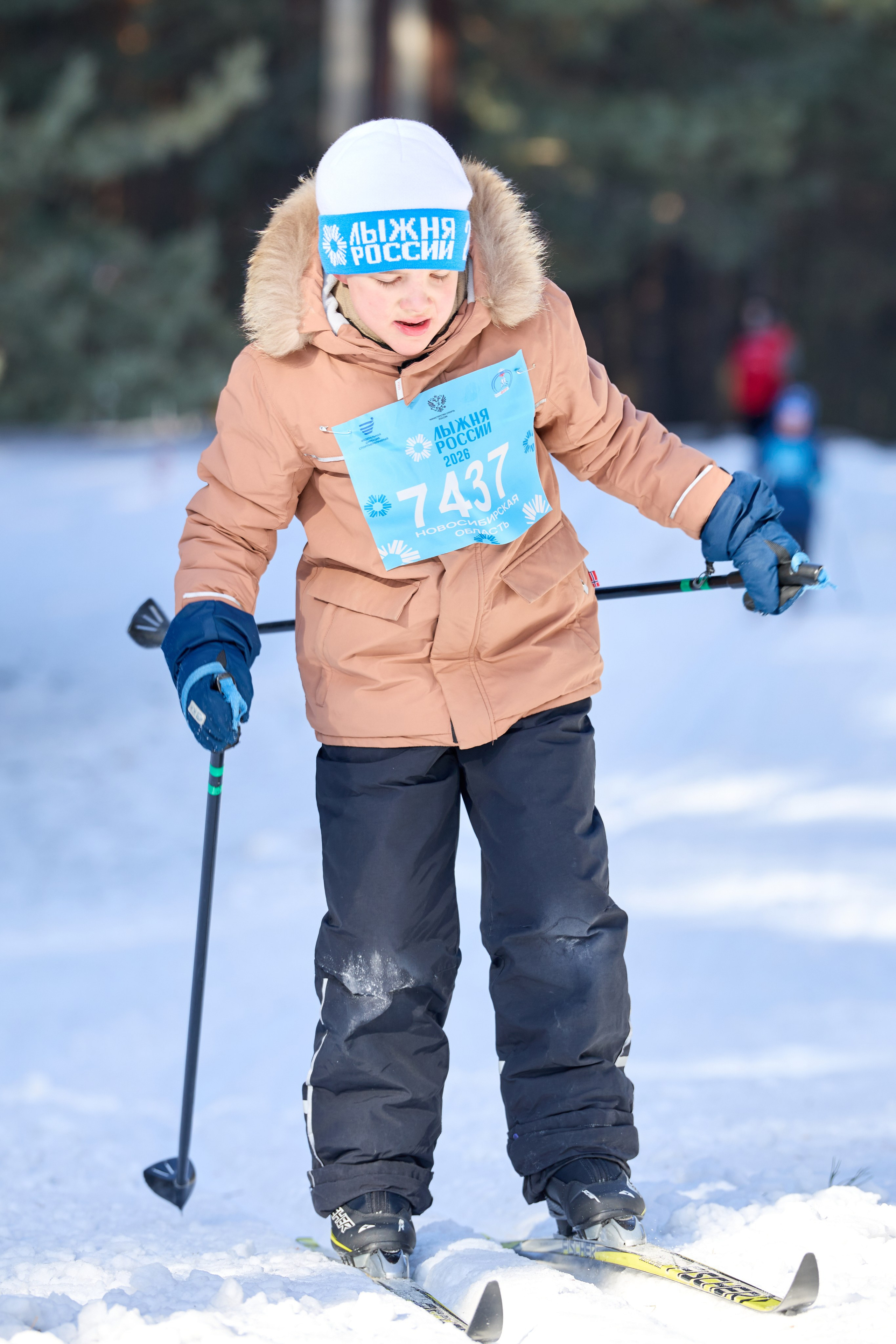«Лыжня России — 2026» г. Бердск. Фотограф в Новосибирске Алена Скокова