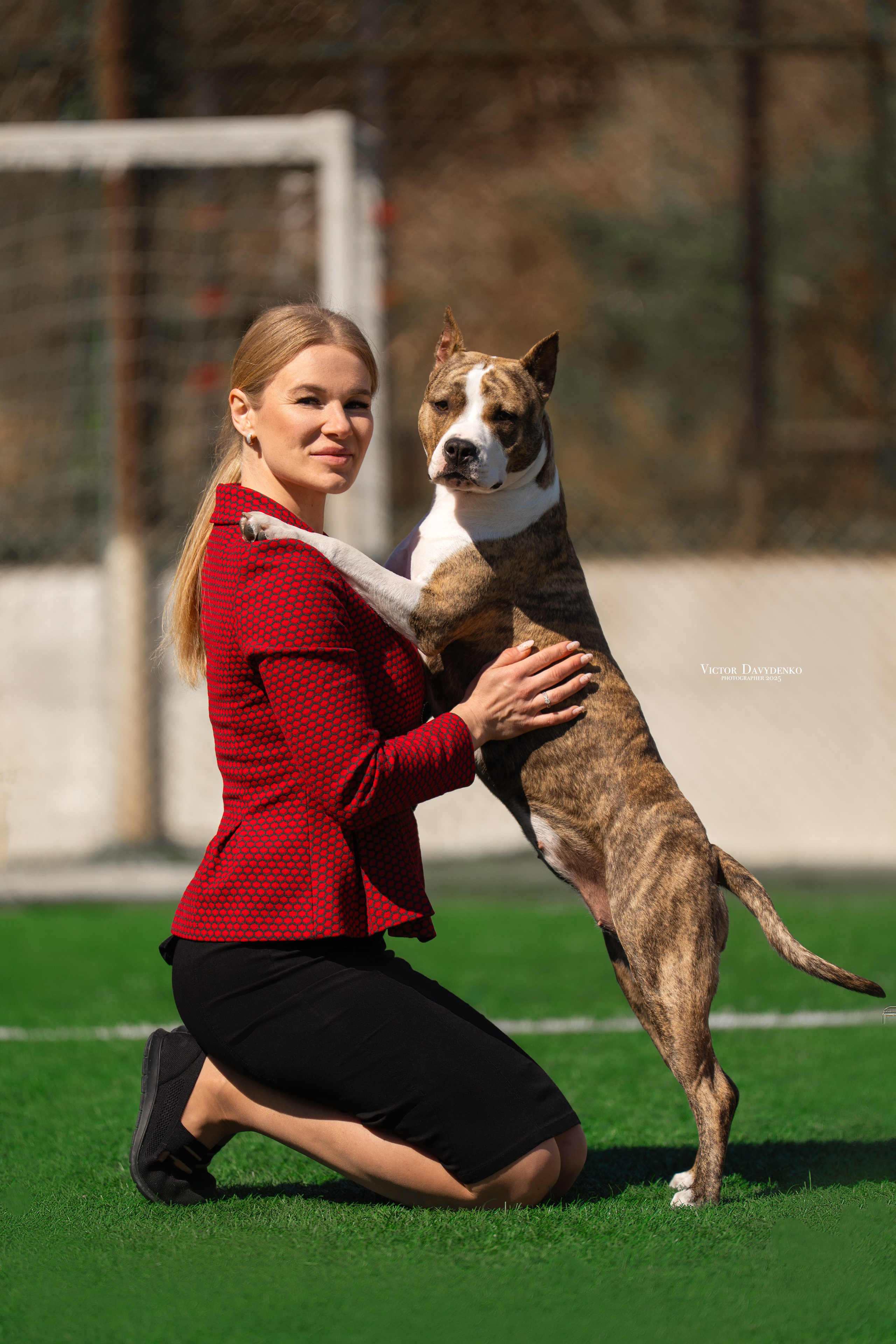 Dog Show. Давыденко Анна / Фотограф Краснодар/Сочи