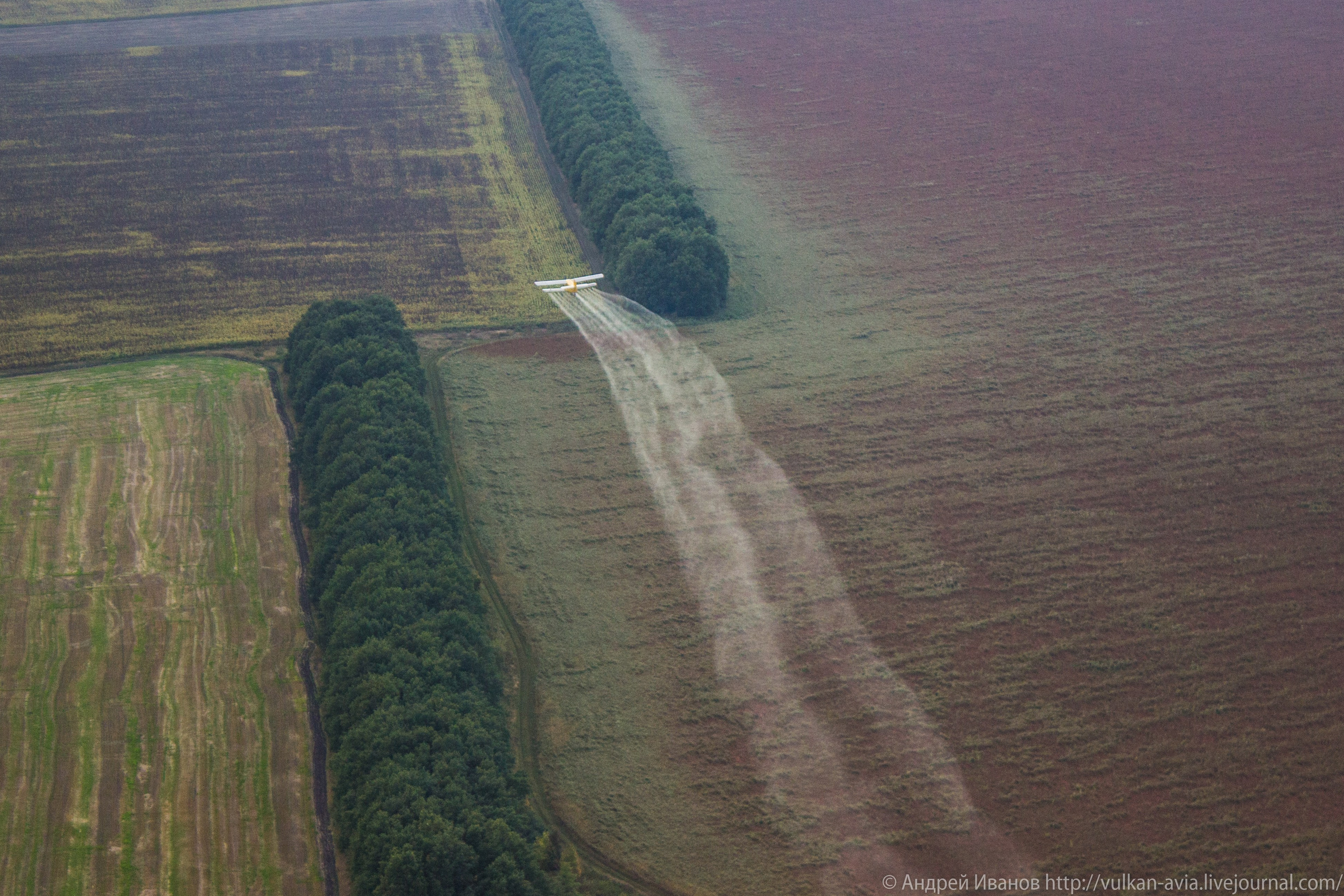 Волгодонск аэр. Потапов слёт «Небо для всех» (2021 г.). Фотоальбом показывающий увлекательный мир авиации и мир медведей Андрея Иванова