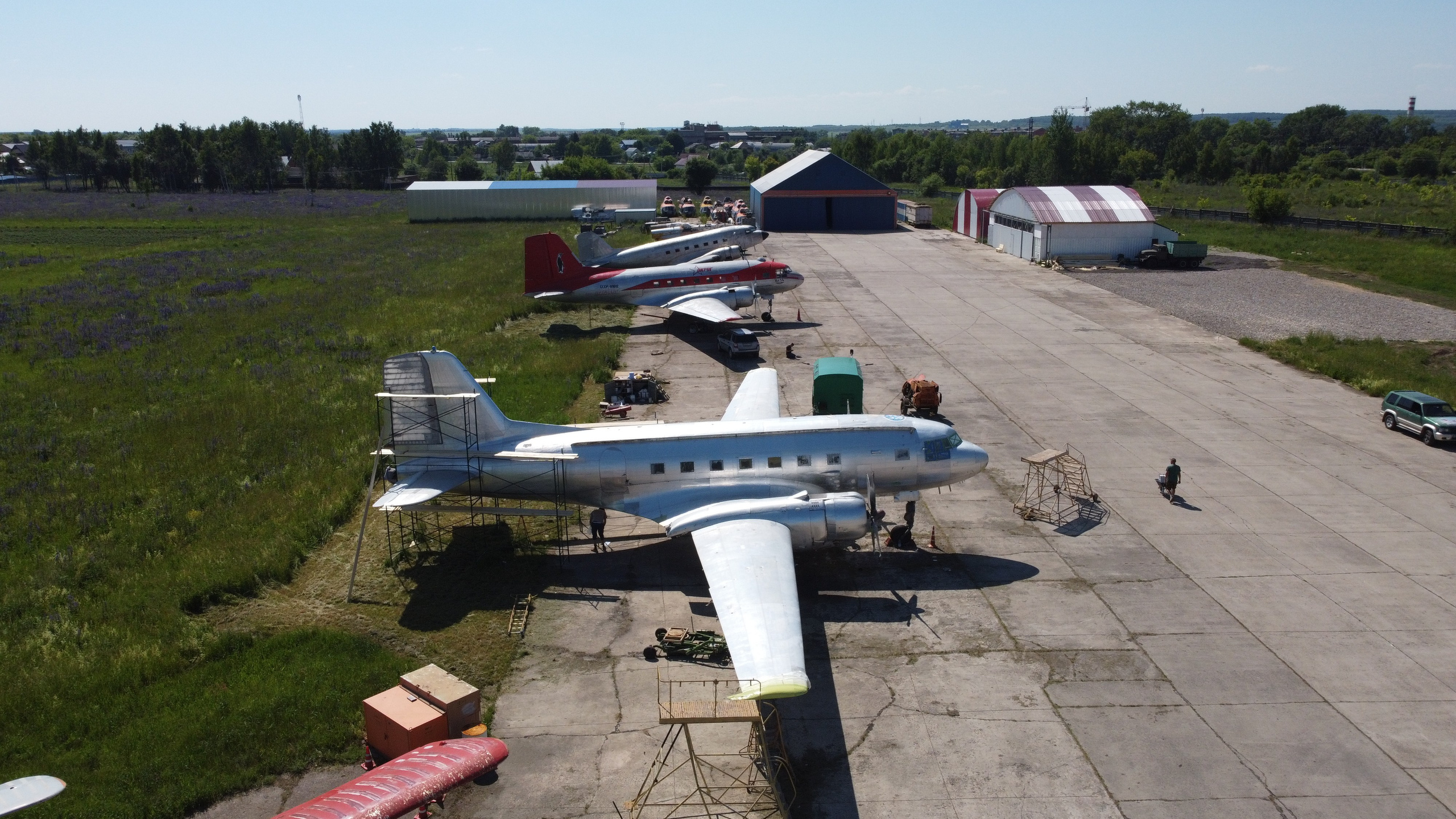Ил-14Т «Голубая Мечта» — покраска (2022г). Фотоальбом показывающий увлекательный мир авиации и мир медведей Андрея Иванова