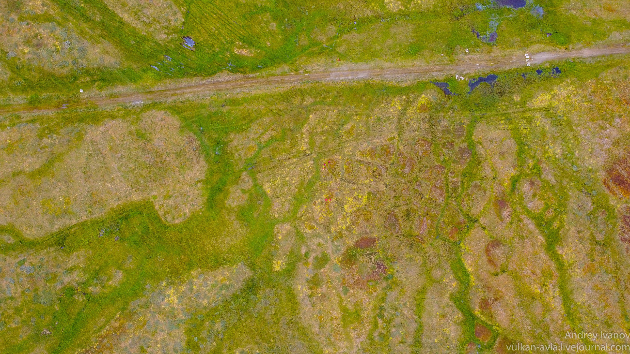 Амдерма — наука (2020 г.). Фотоальбом показывающий увлекательный мир авиации и мир медведей Андрея Иванова