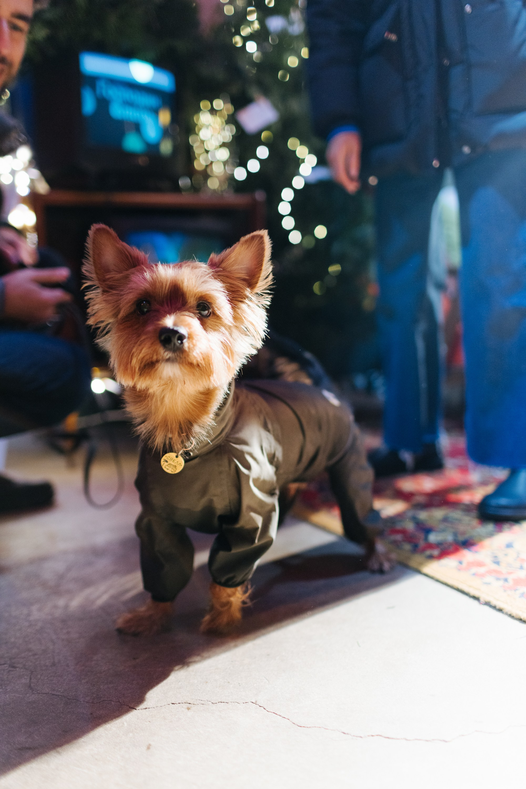 24–25 декабря 2022 в пространстве ПОЛЕ / День 1. Фотоотчеты «Ламбада-маркета»