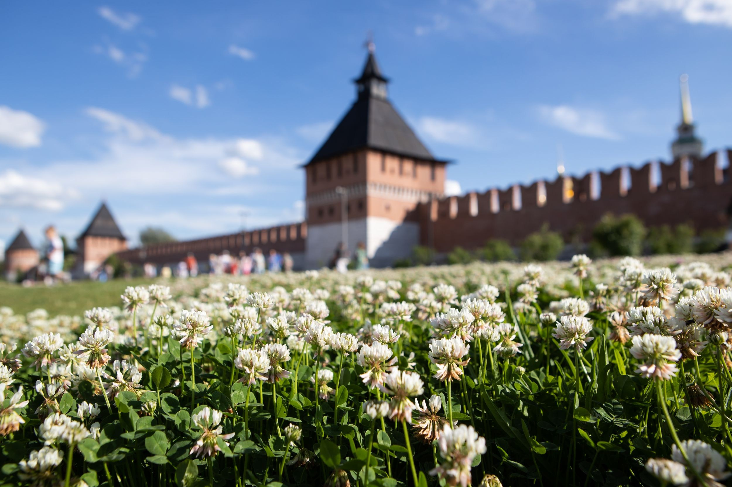 Силовой экстрим (22 июня 2024). Репортажный фотограф Алексей Пирязев