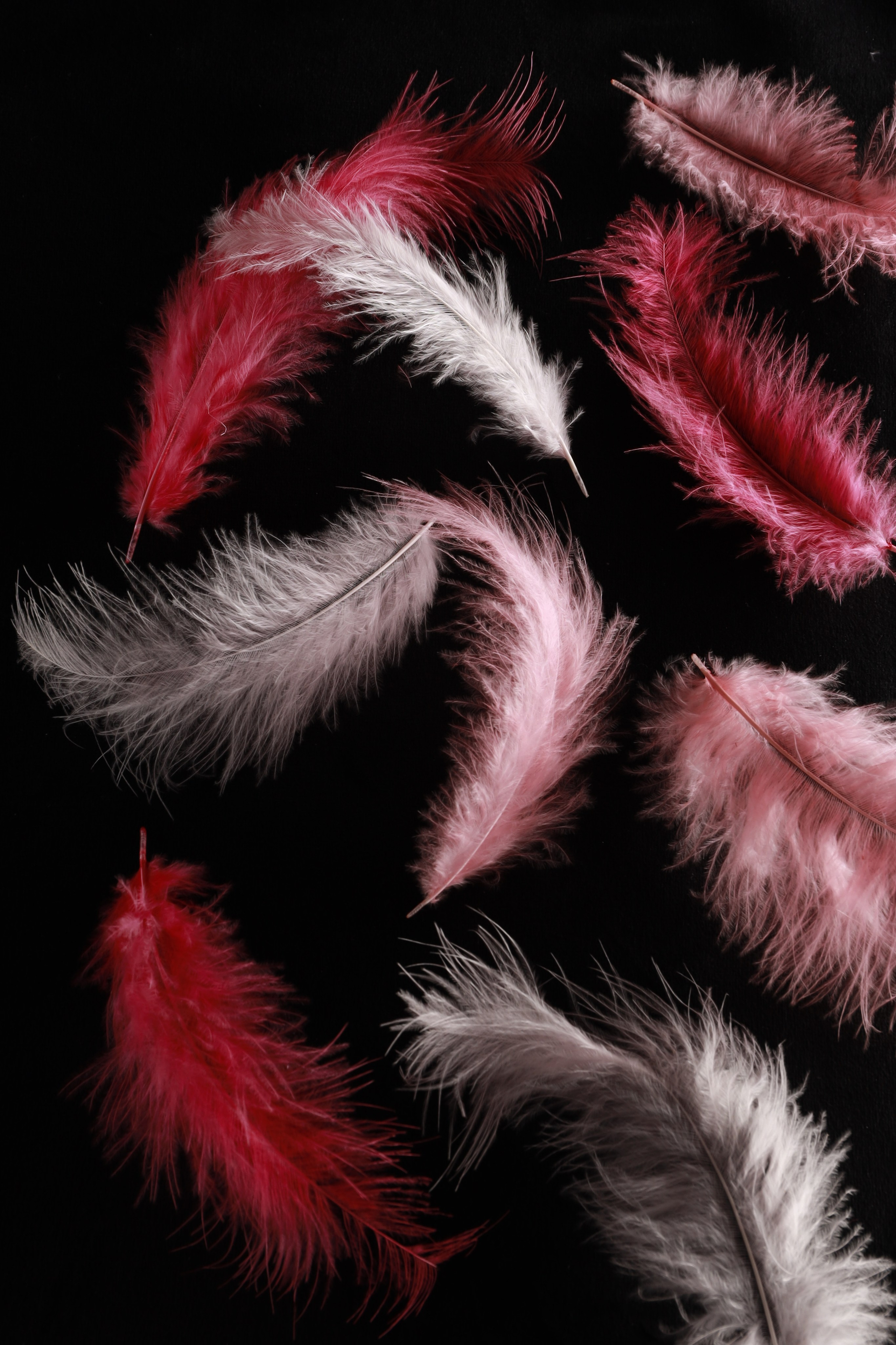 Предметная съемка. Фотограф Светлана Заплатина