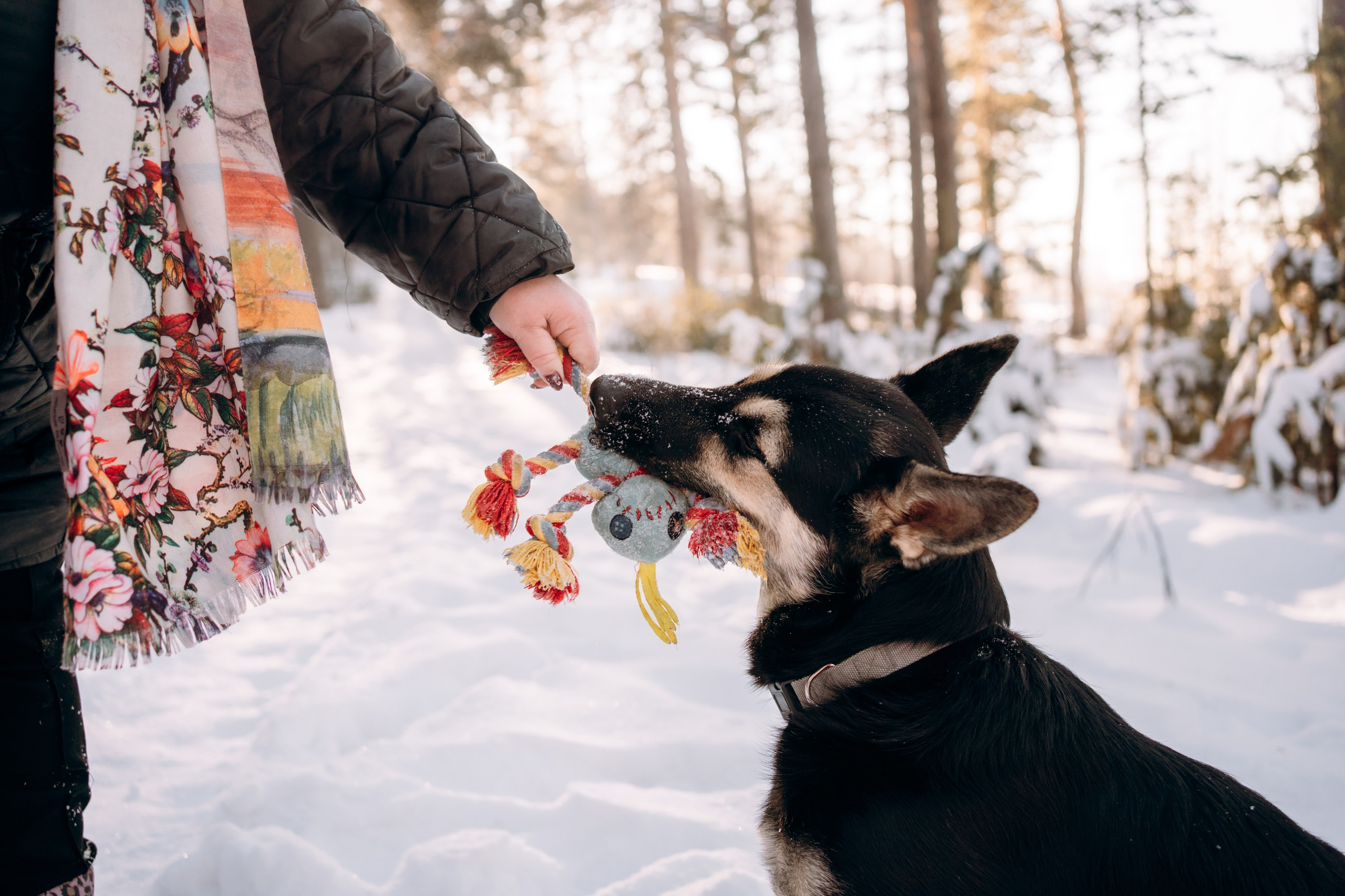 Г. Миасс 2023-2024. Фотограф-анималист Анастасия Большакова