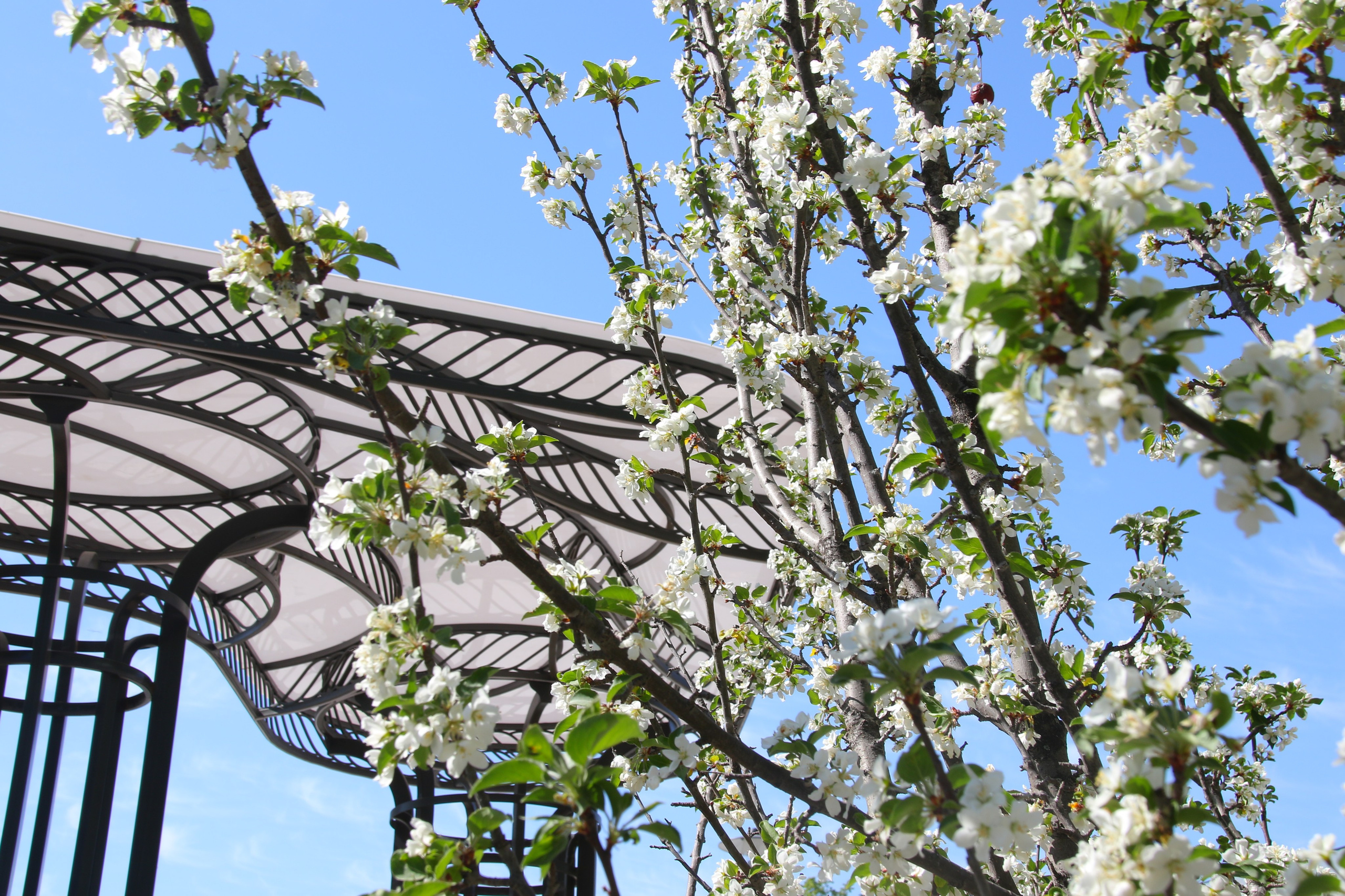 Городской пейзаж. Репортажный фотограф Анастасия Богданова из Тюмени