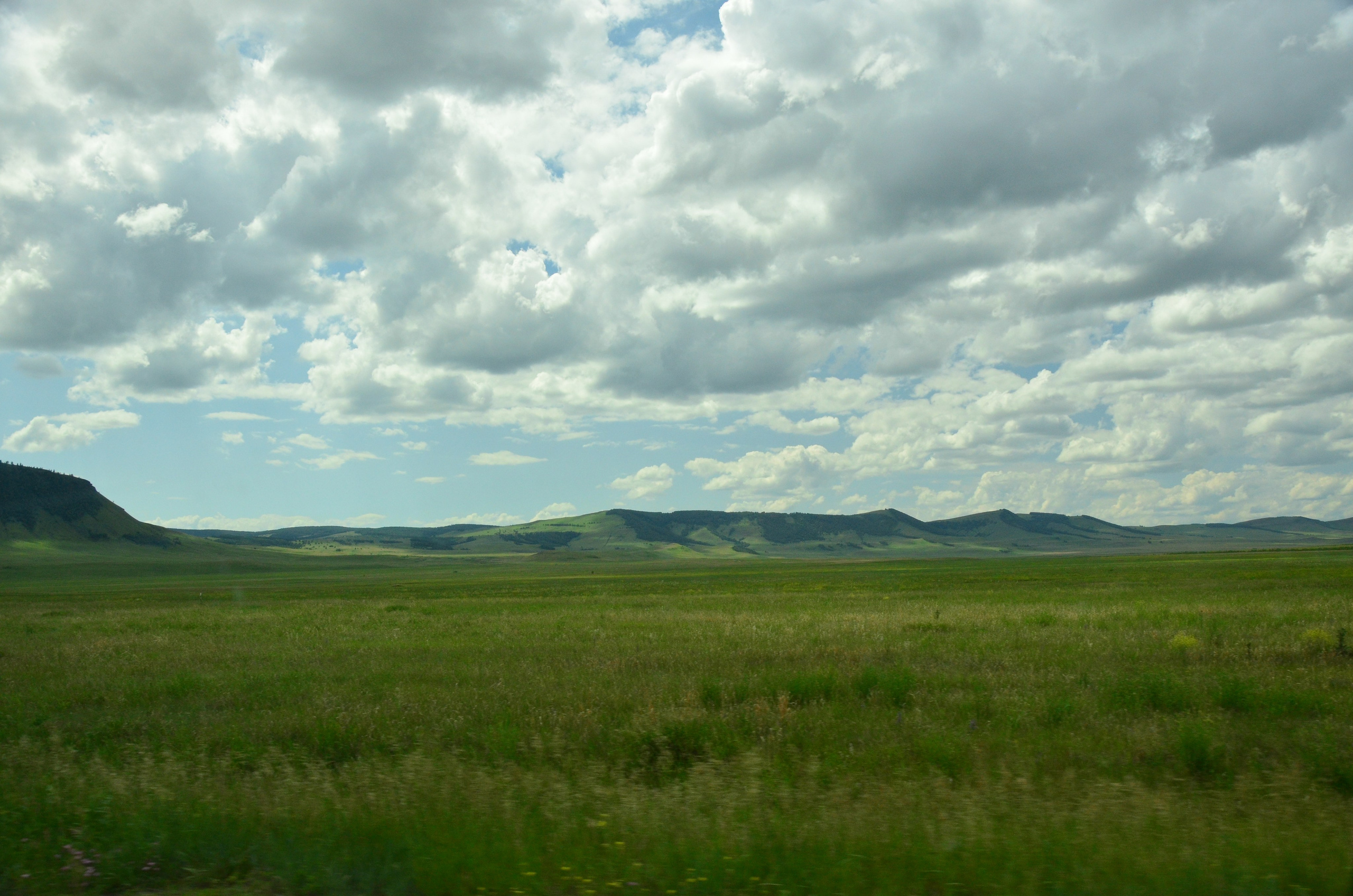Дары природы. Фотограф viktor viktor