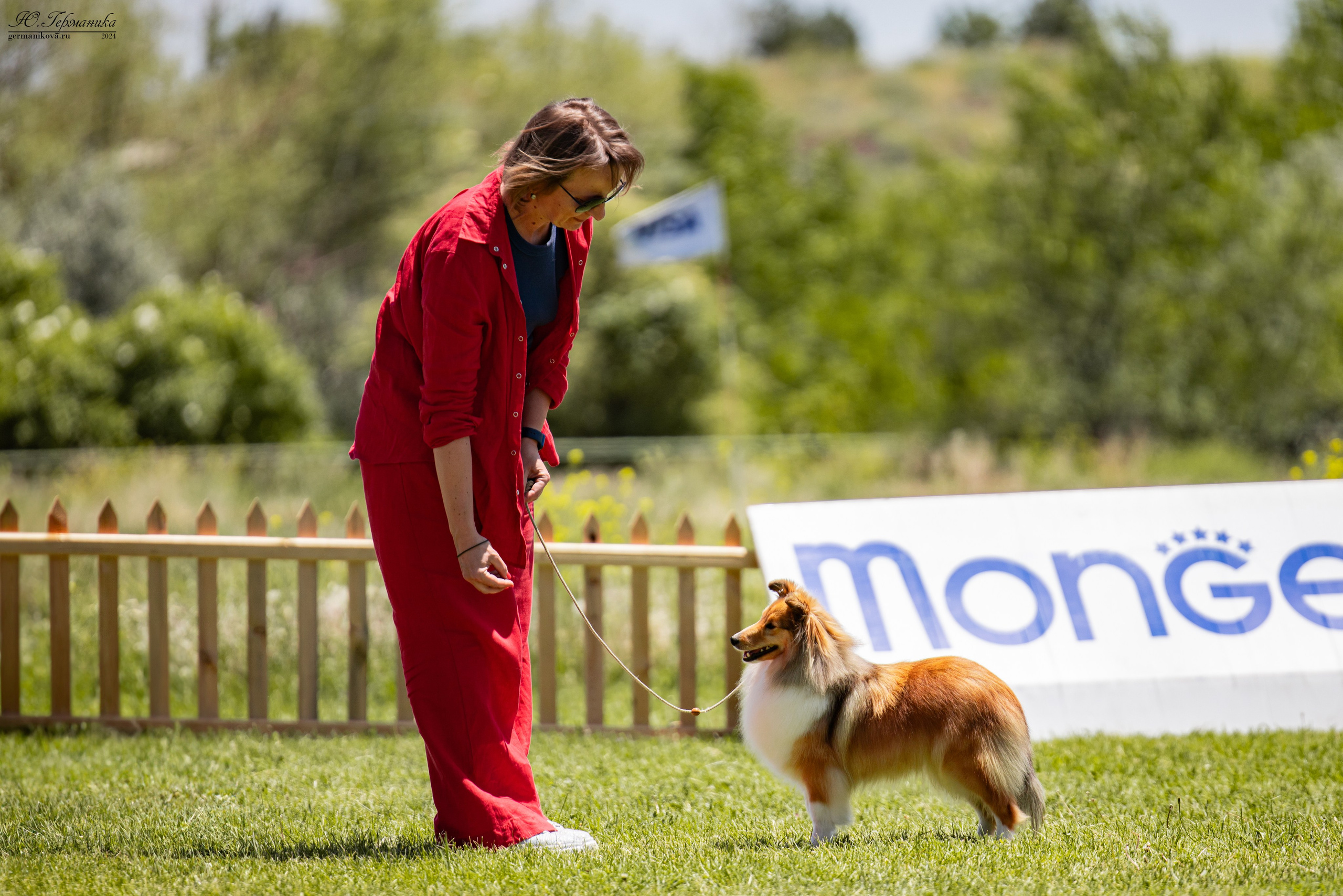 Ереван 3-5.06.2024. Фотограф-анималист Юлия Германика